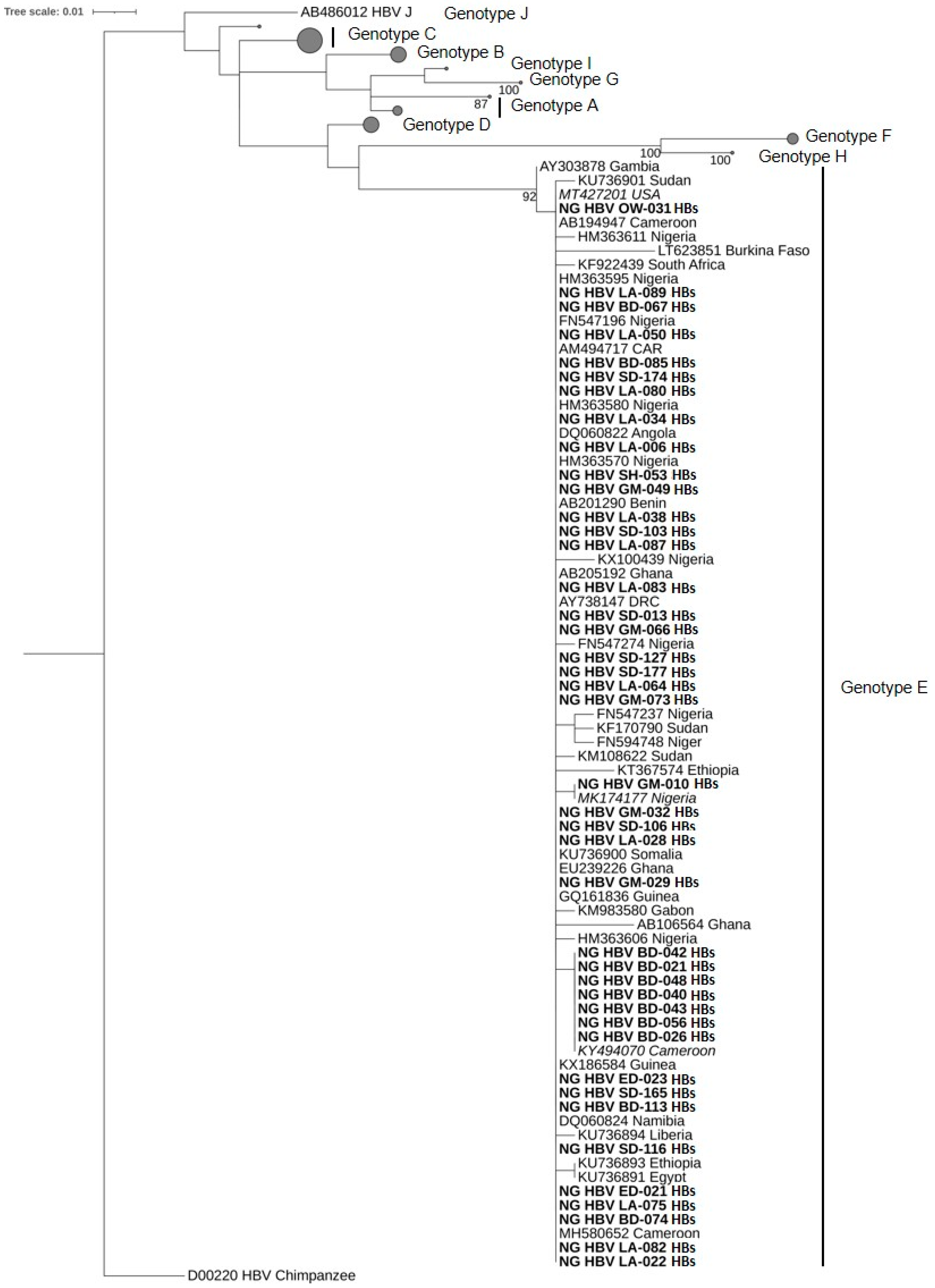 Viruses 13 01273 g001