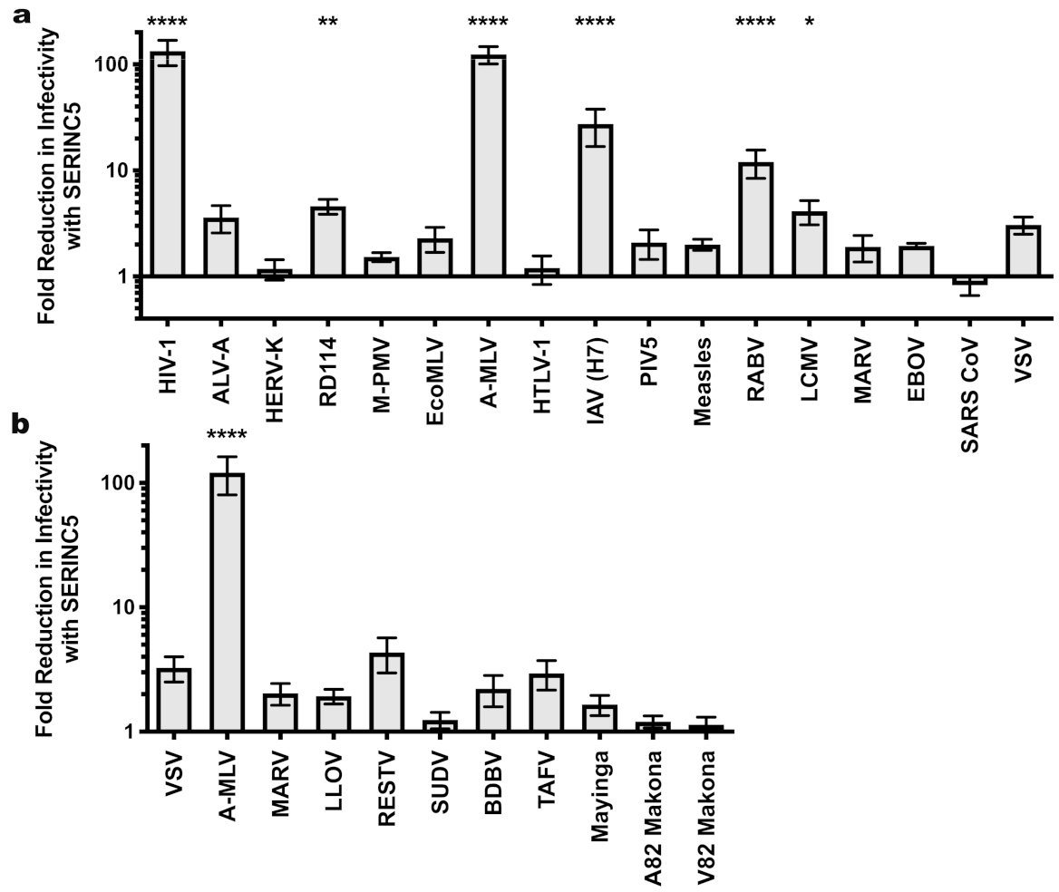 Viruses 13 01279 g001