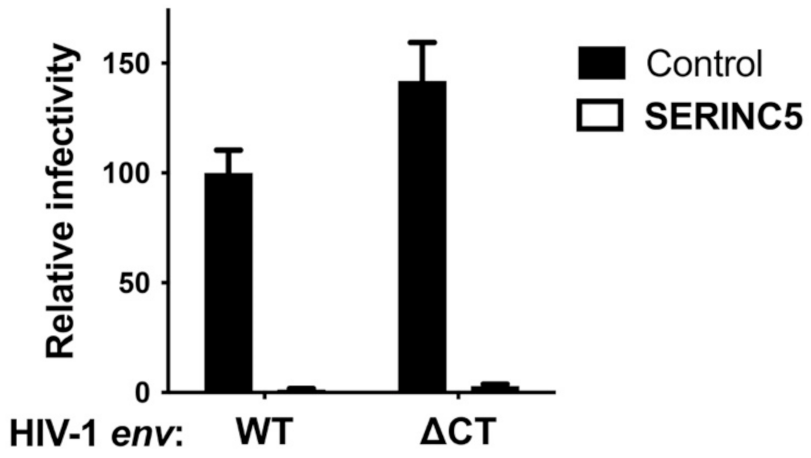 Viruses 13 01279 g002