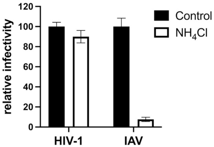Viruses 13 01279 g003
