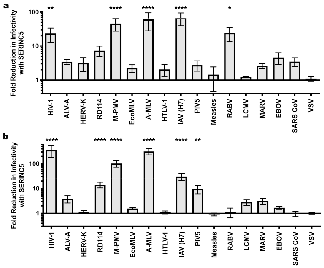 Viruses 13 01279 g005