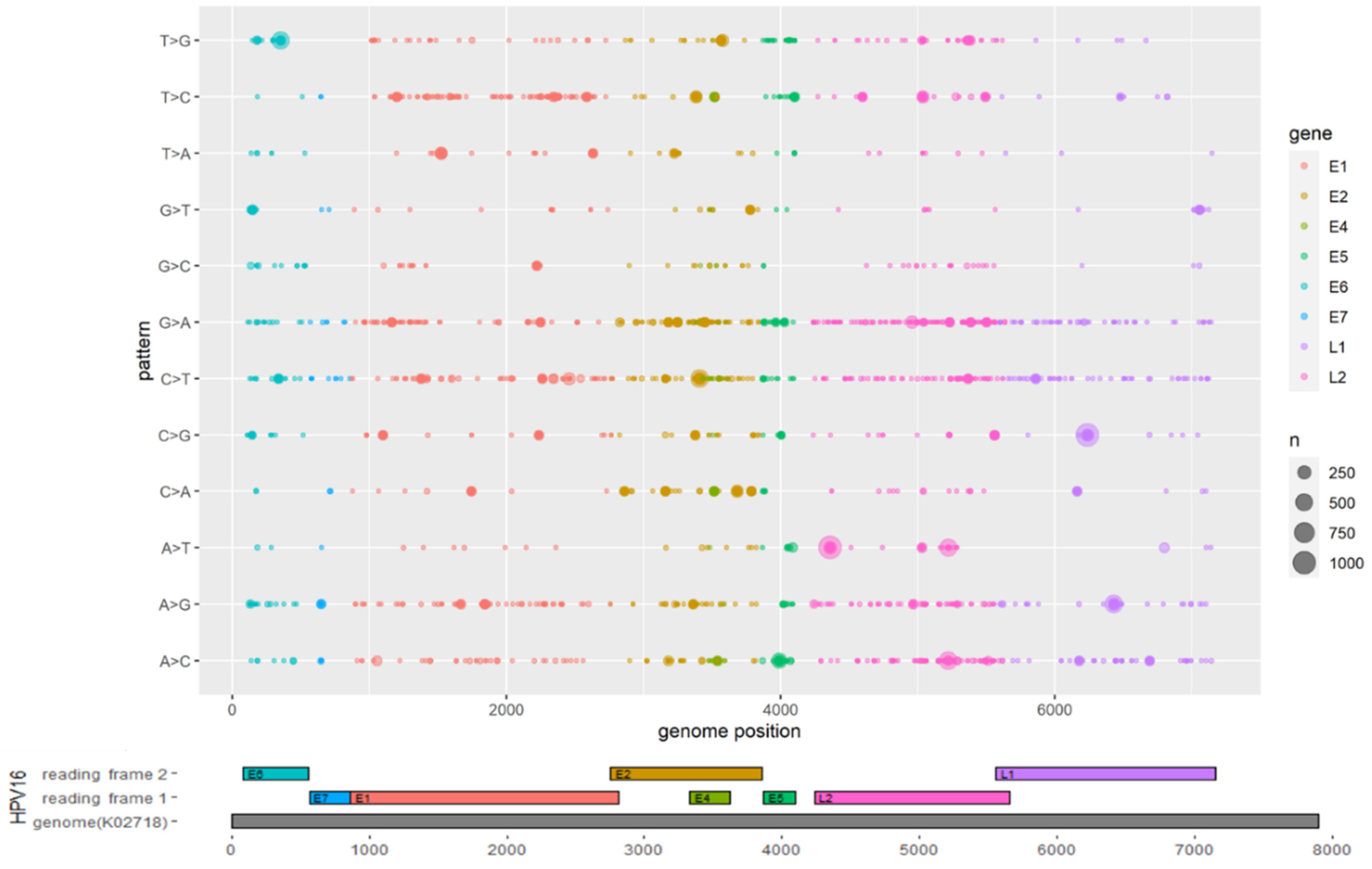Viruses 13 01281 g001