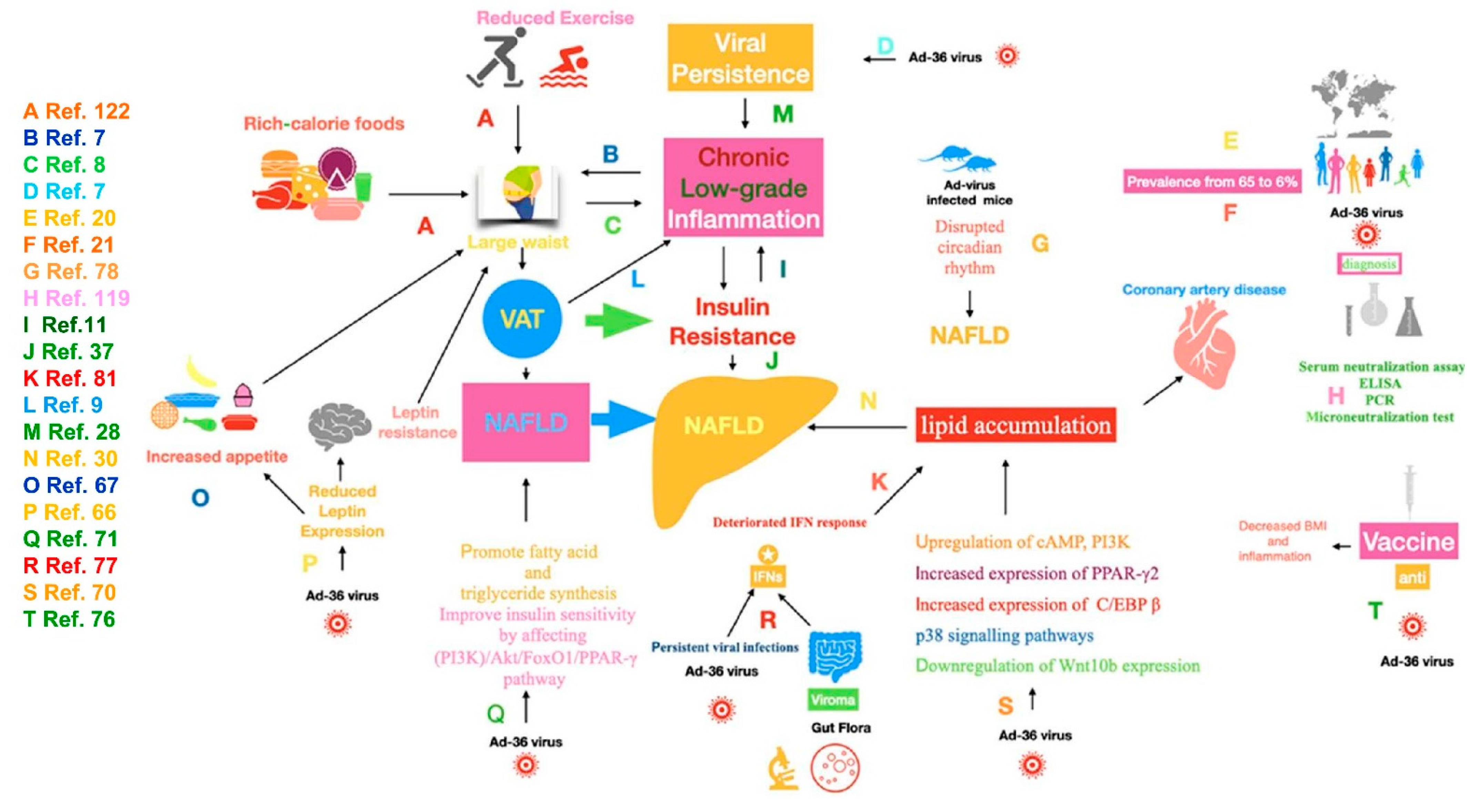 Viruses 13 01285 g001