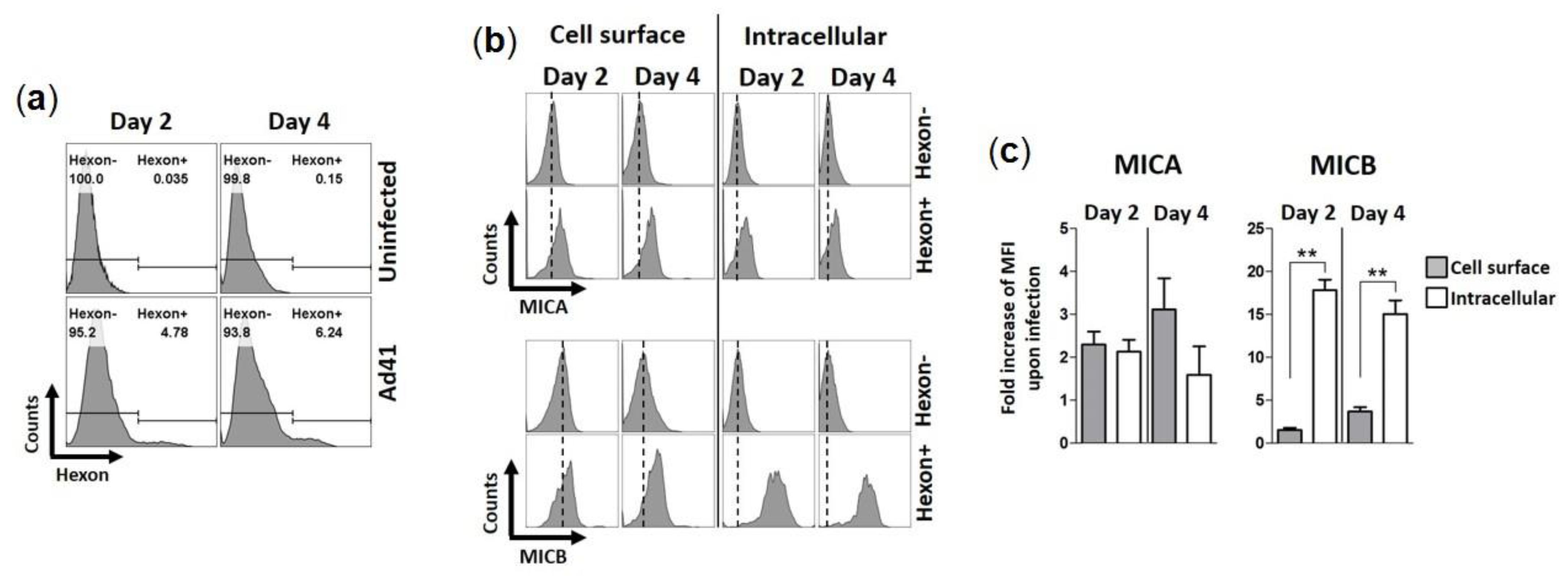 Viruses 13 01289 g004
