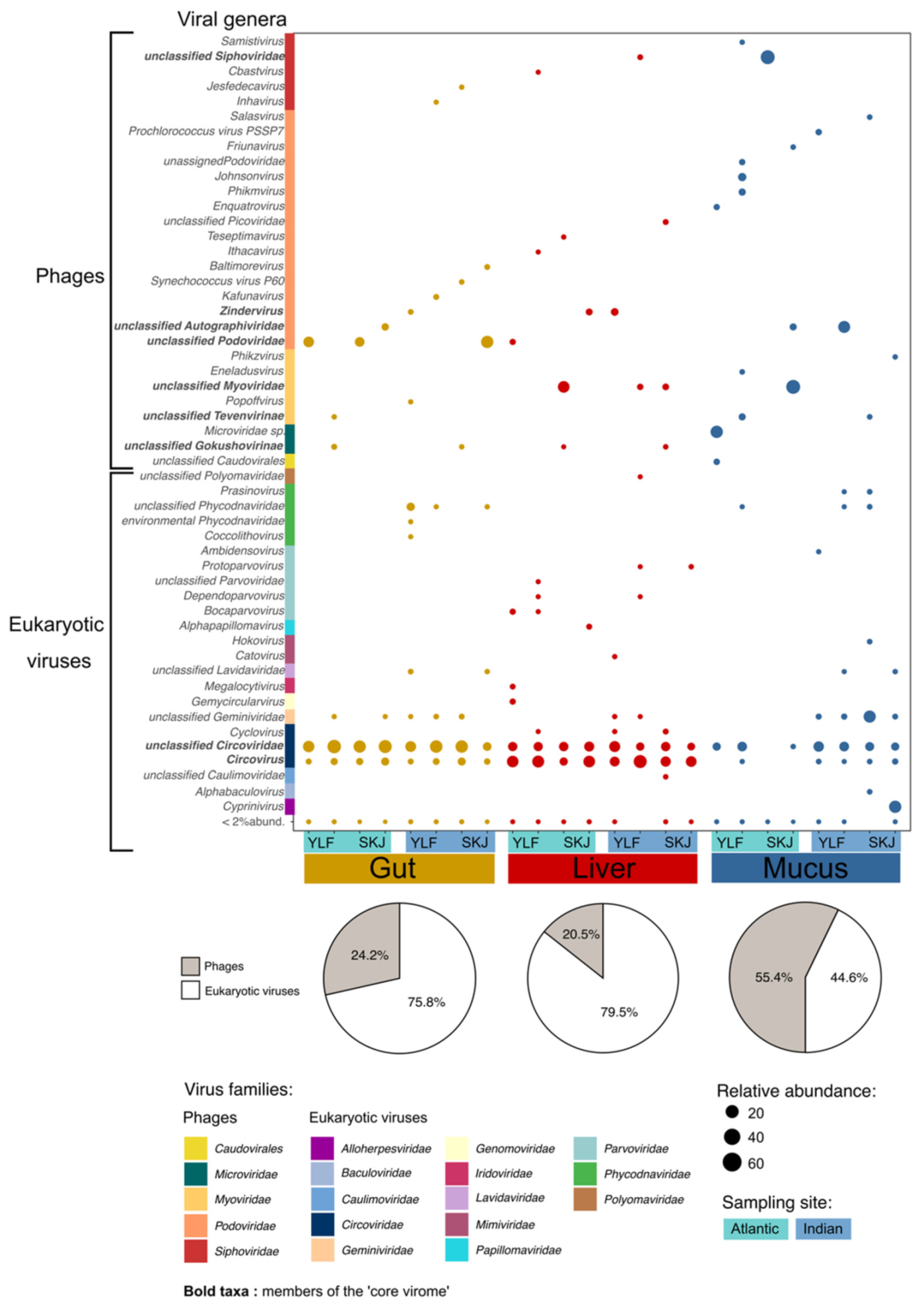 Viruses 13 01291 g001
