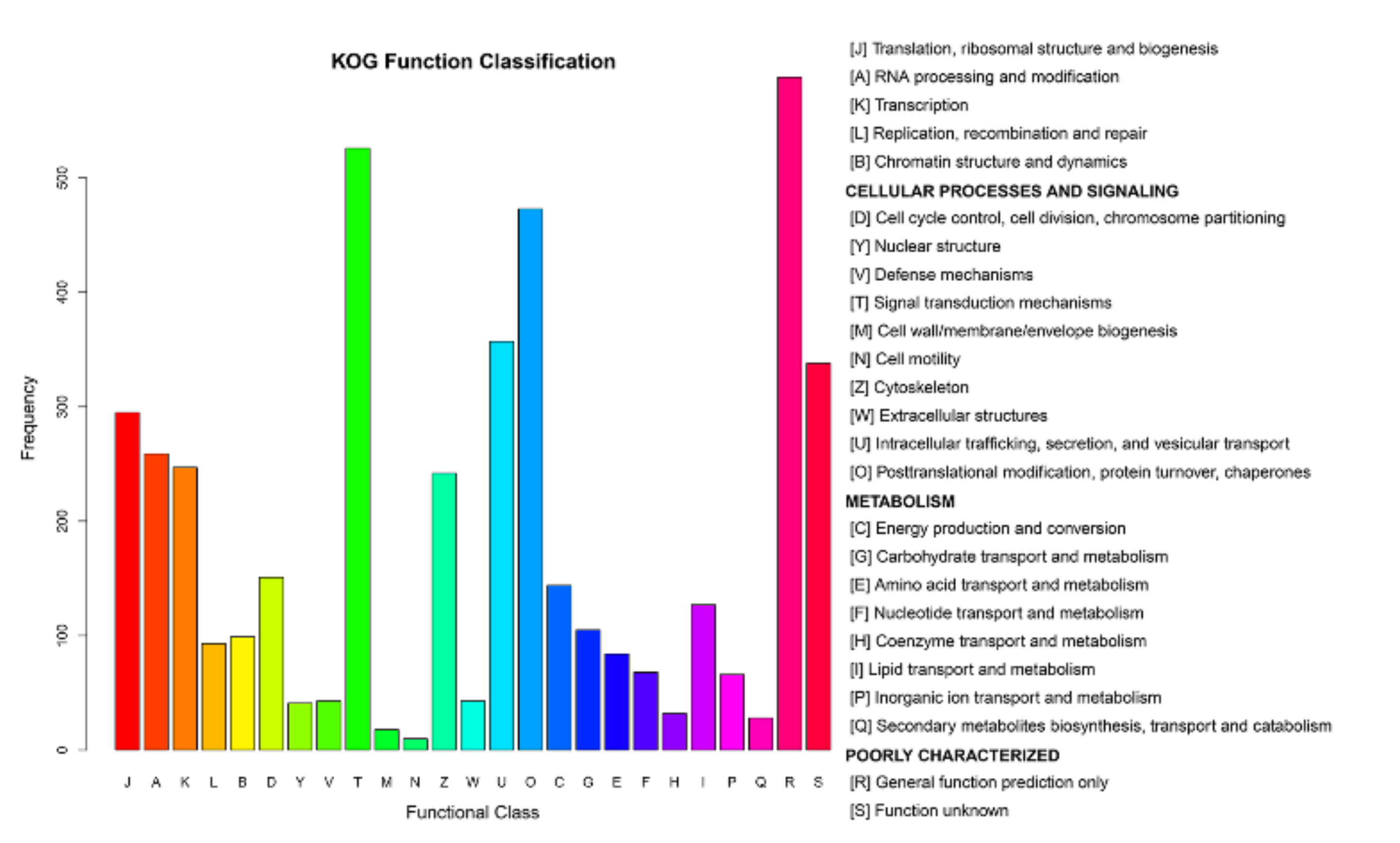 Viruses 13 01293 g006