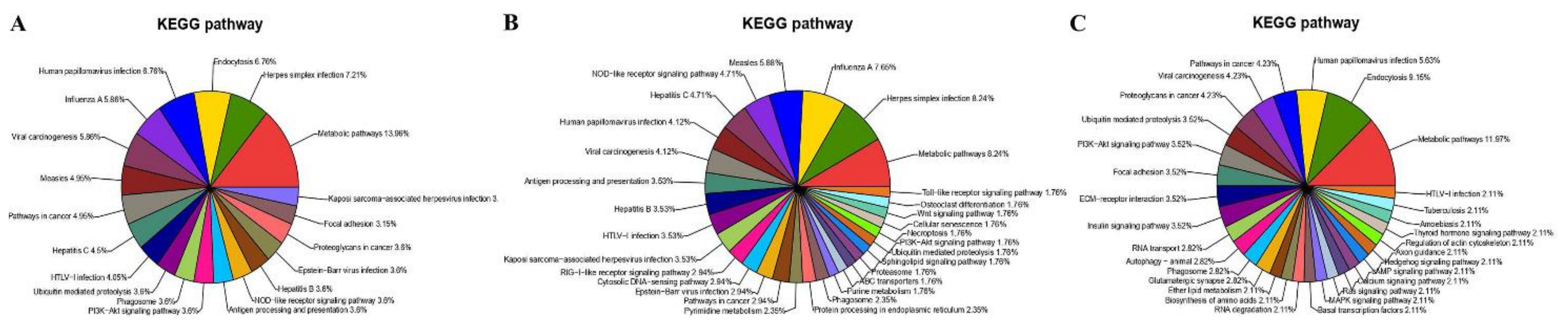 Viruses 13 01293 g009