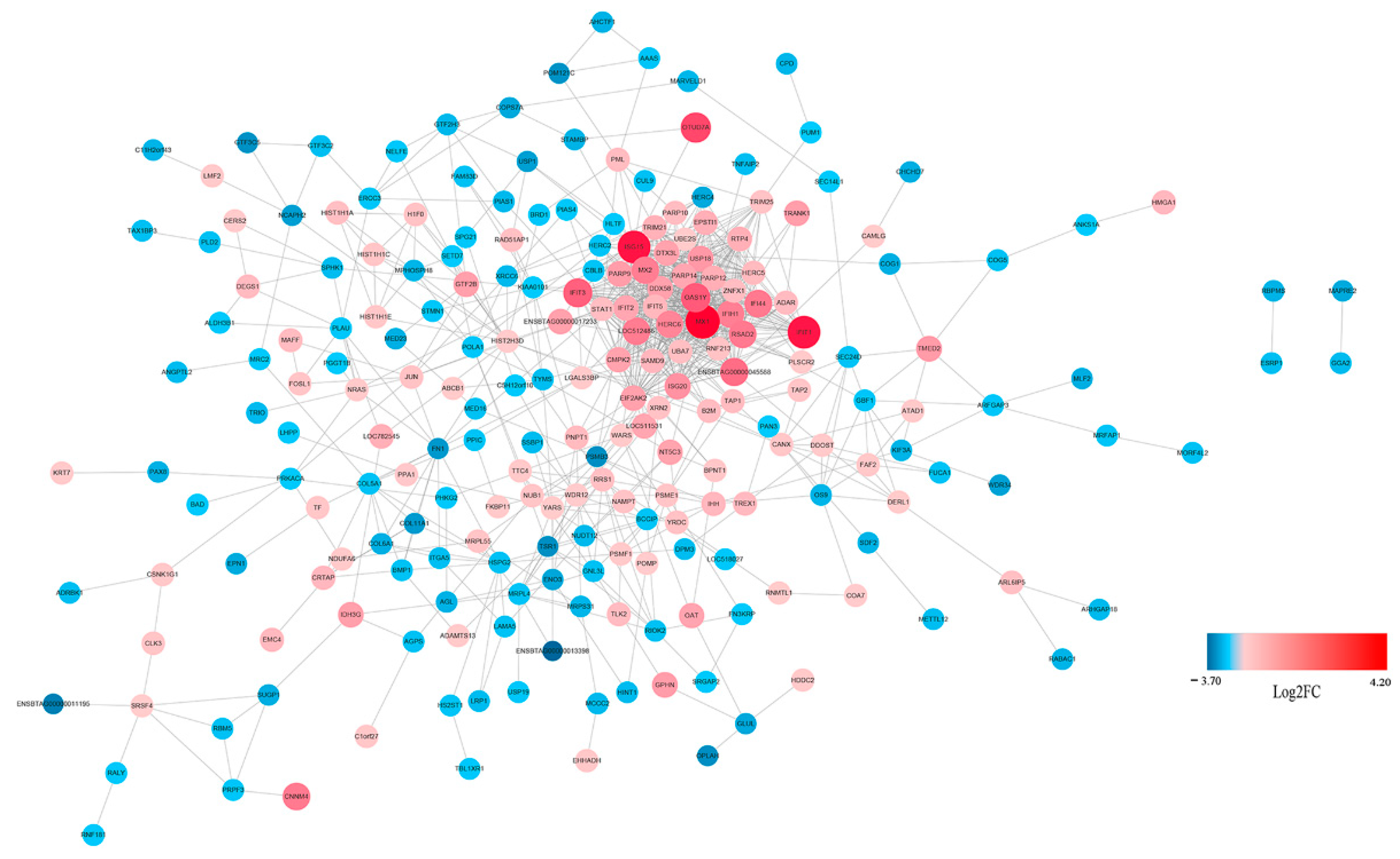 Viruses 13 01293 g010