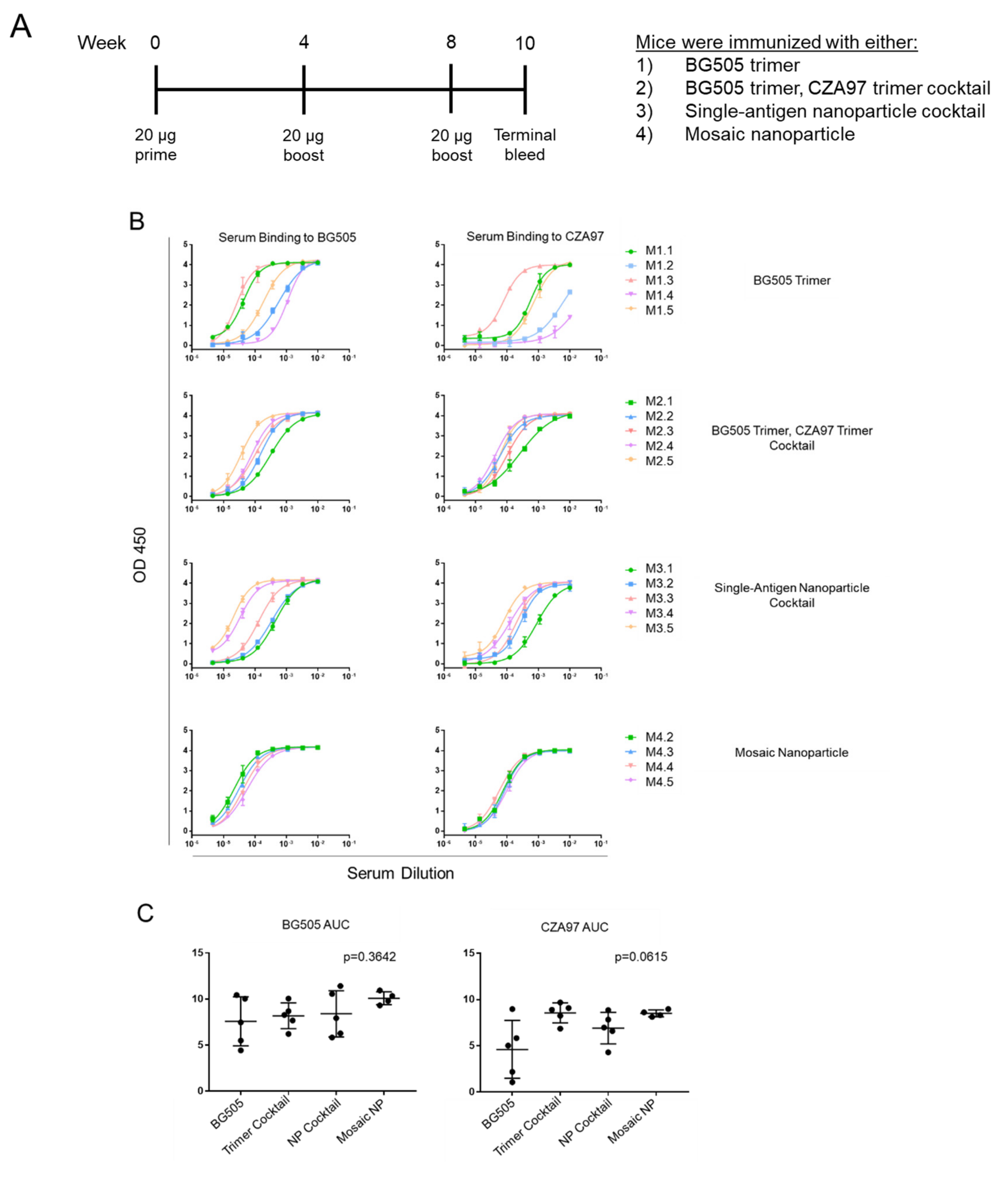 Viruses 13 01296 g002