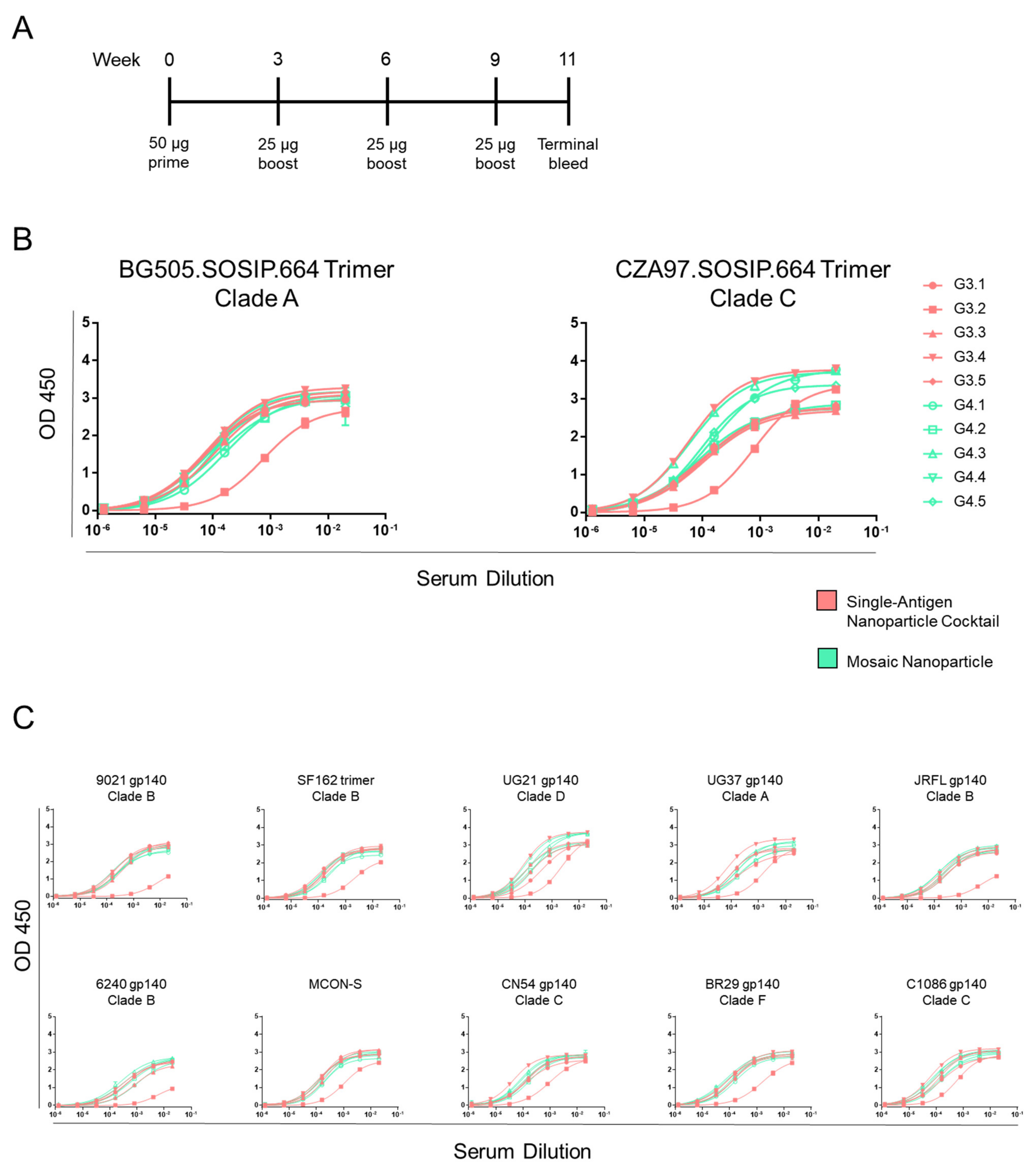Viruses 13 01296 g004
