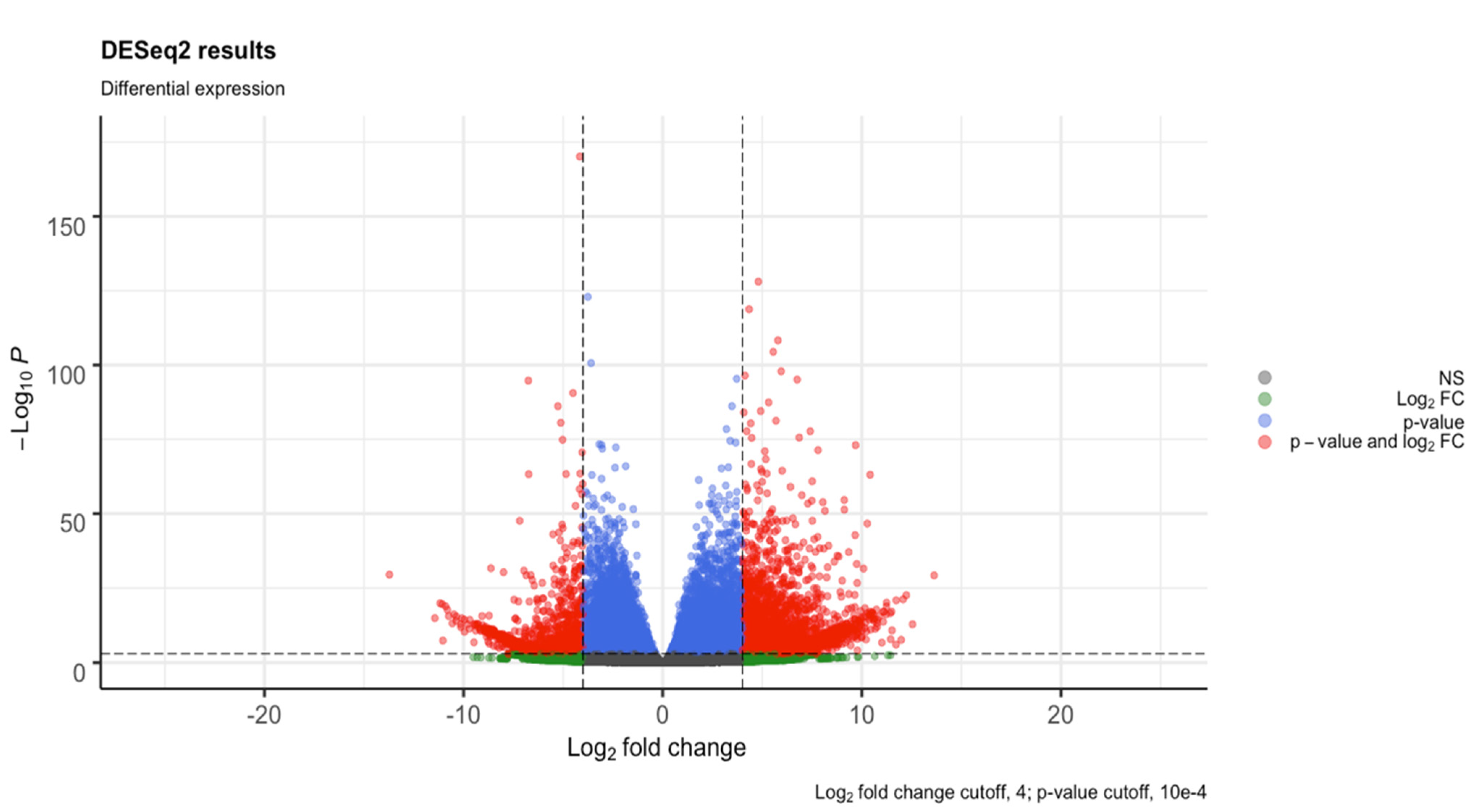 Viruses 13 01303 g002