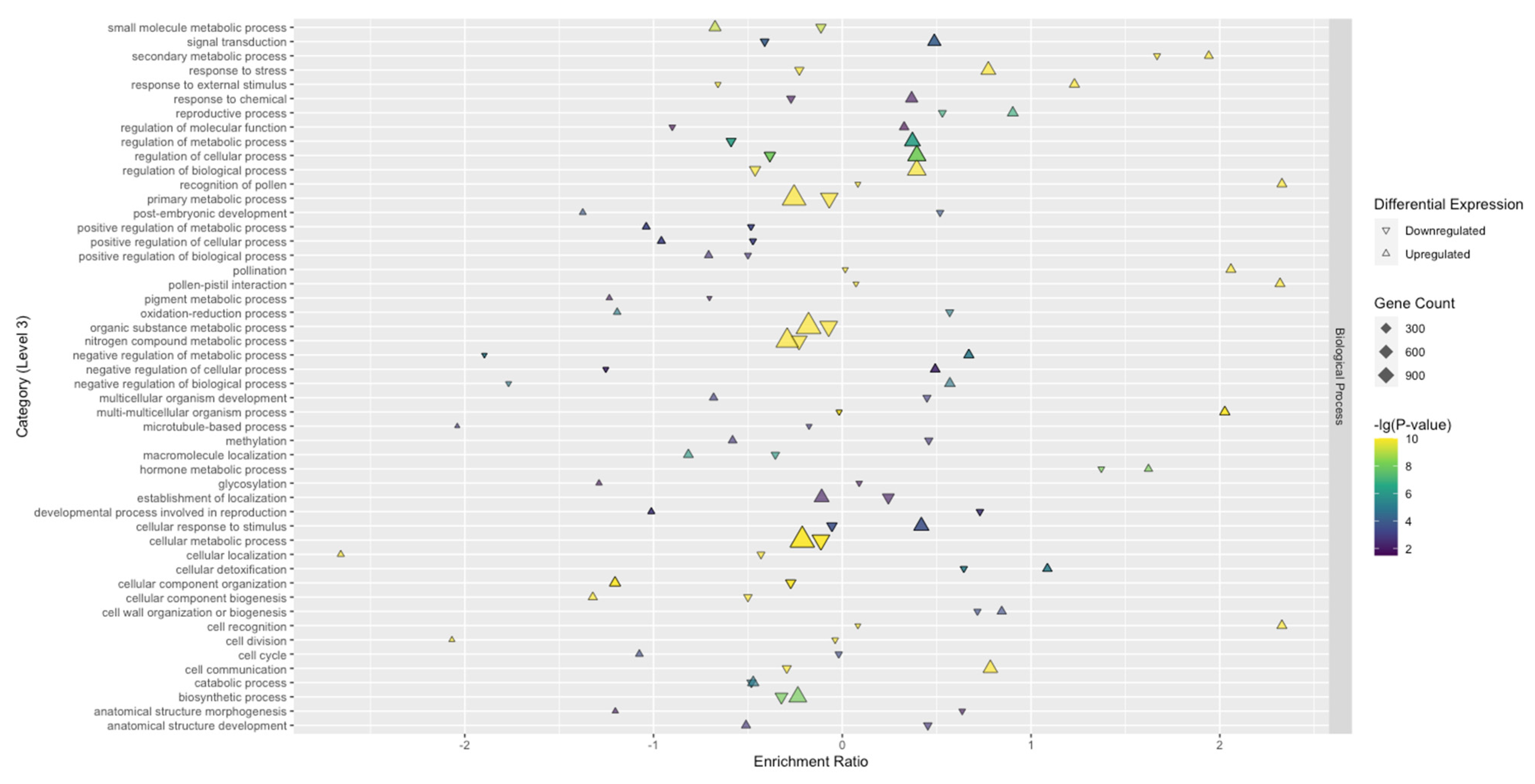 Viruses 13 01303 g004