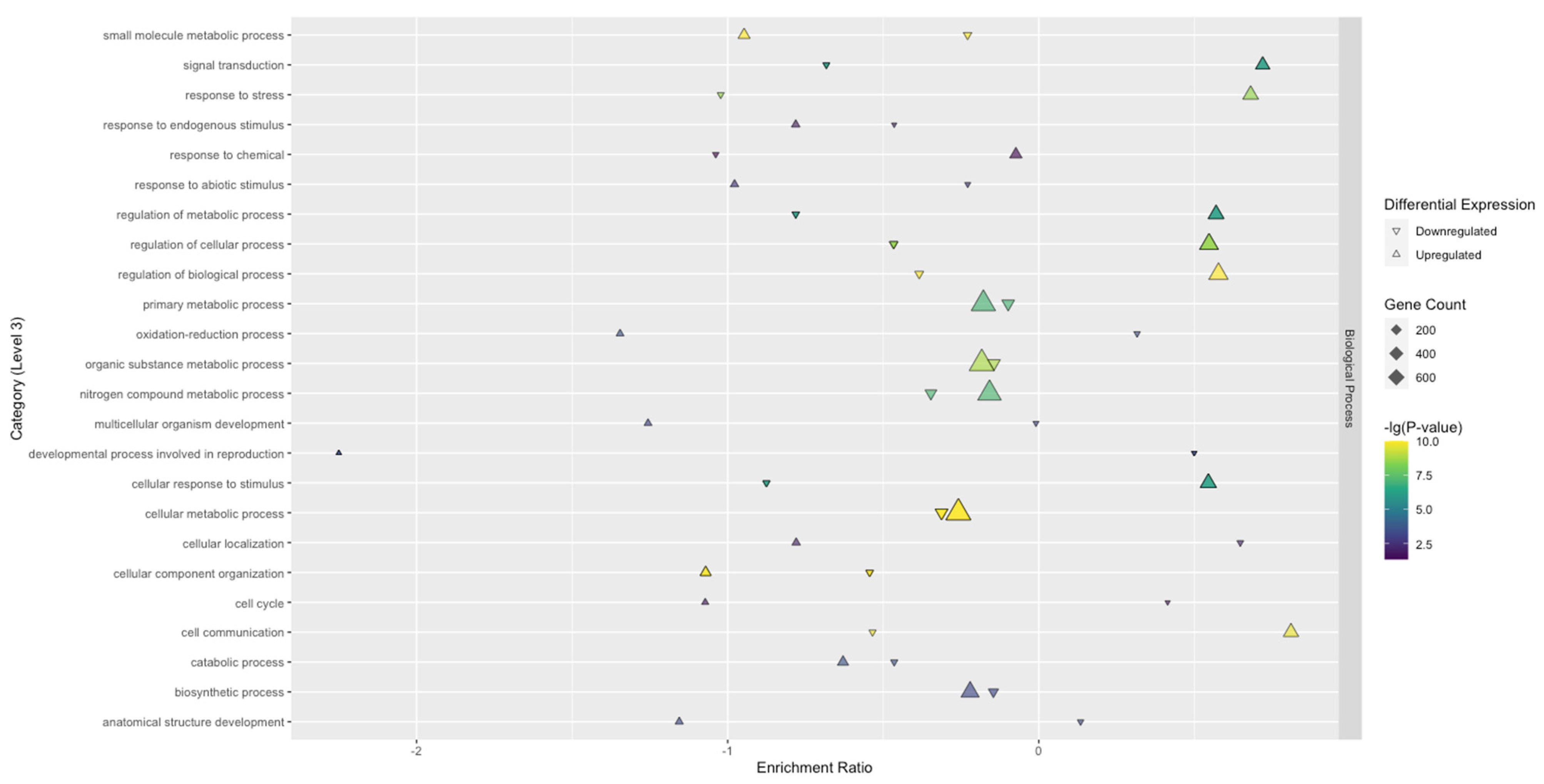 Viruses 13 01303 g005