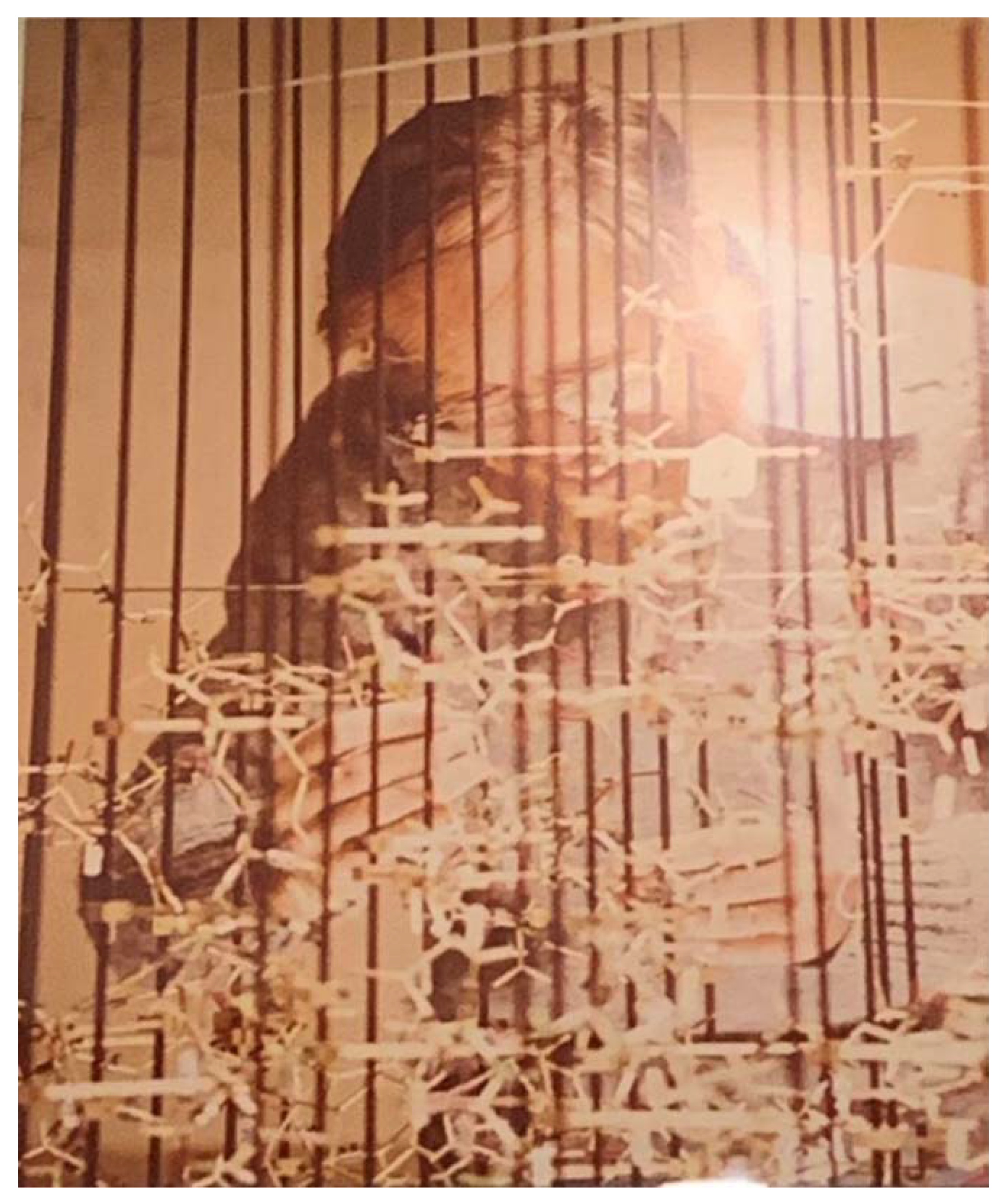 Viruses 13 01305 g003