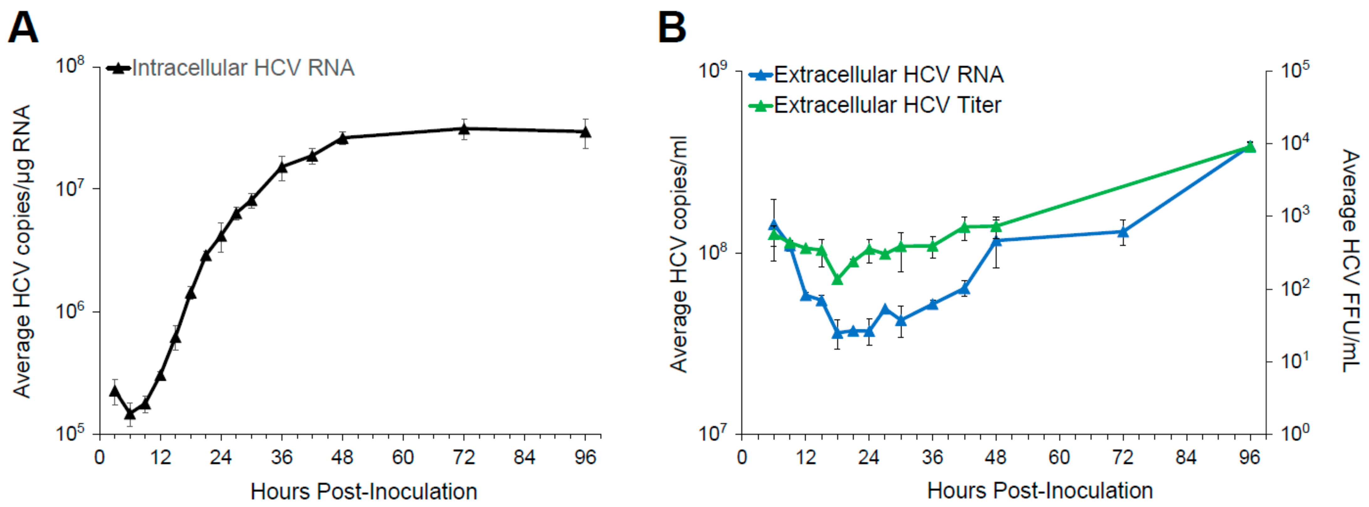 Viruses 13 01308 g001