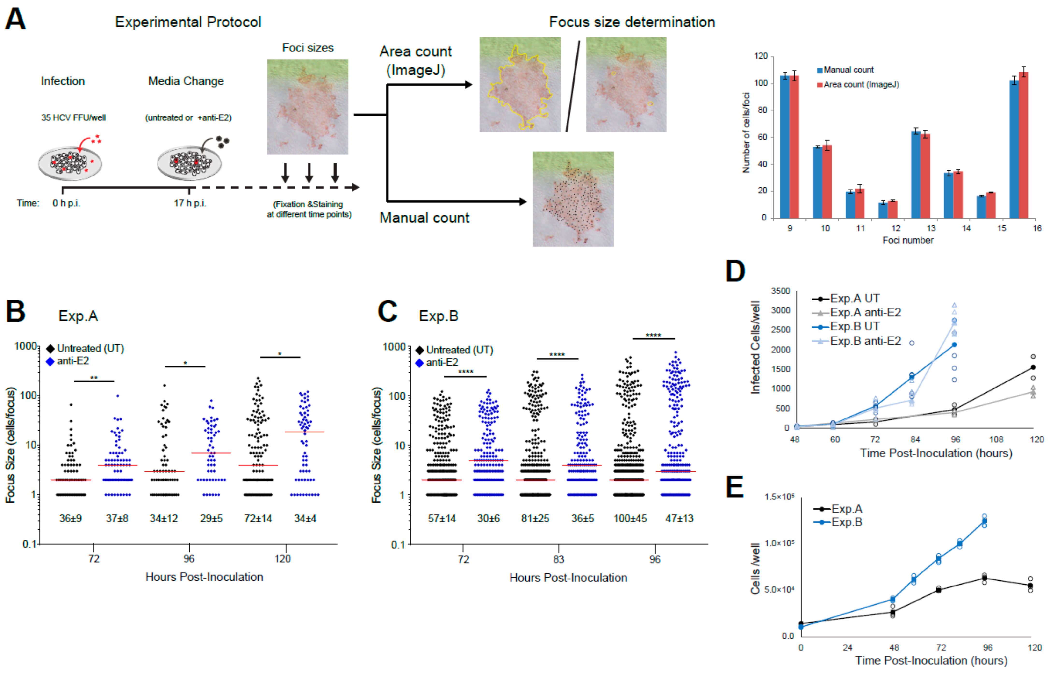 Viruses 13 01308 g002
