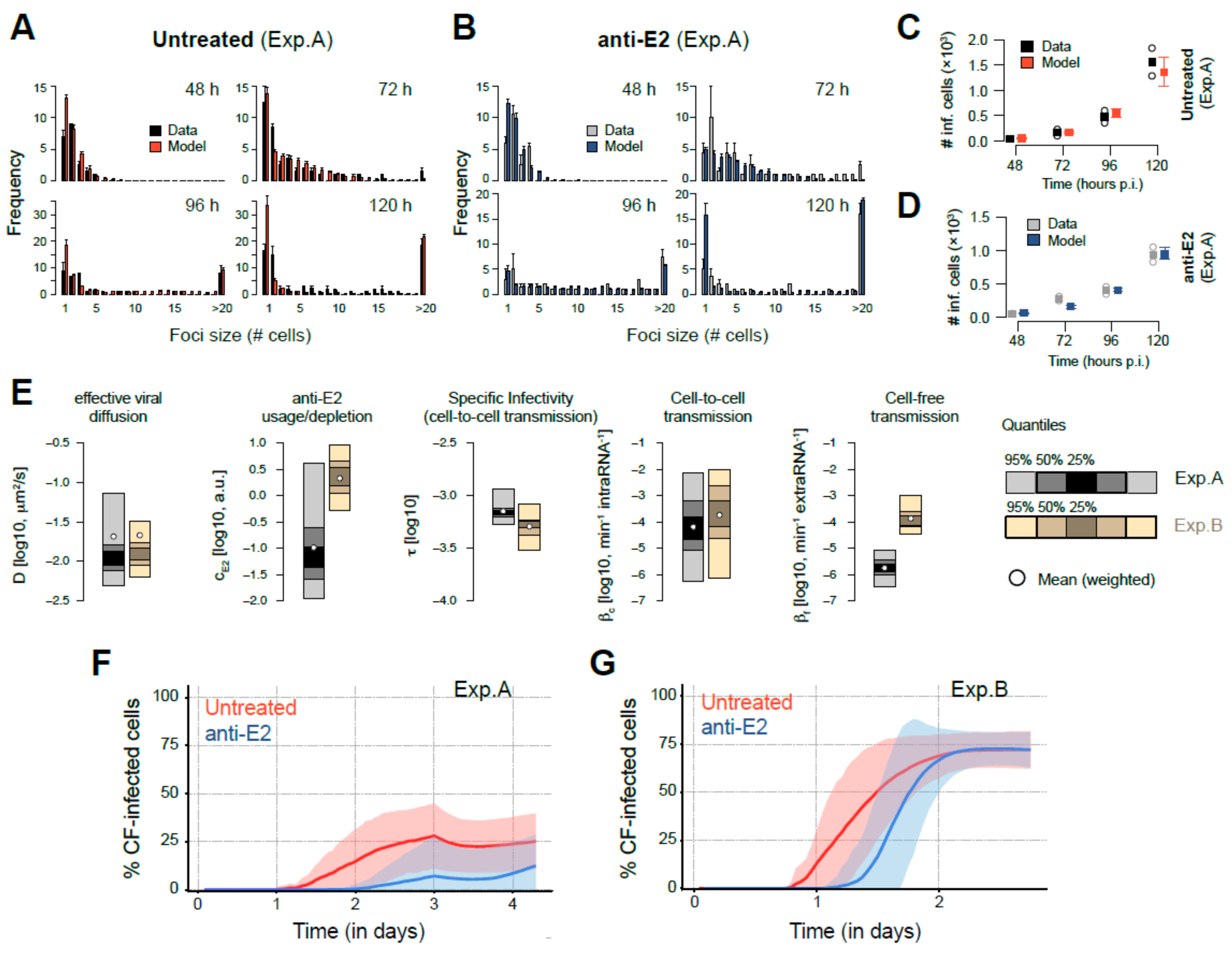 Viruses 13 01308 g004