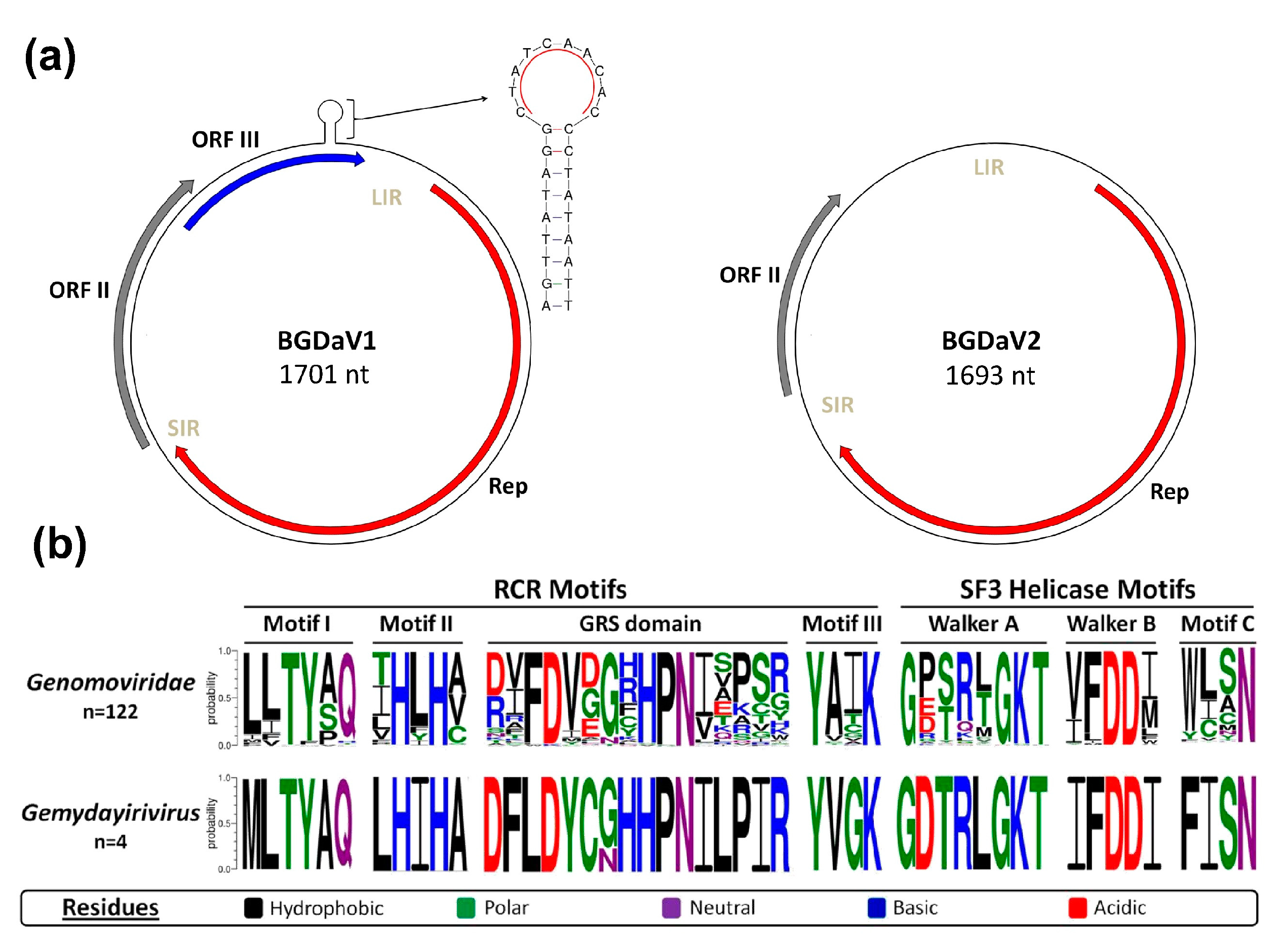 Viruses 13 01315 g001