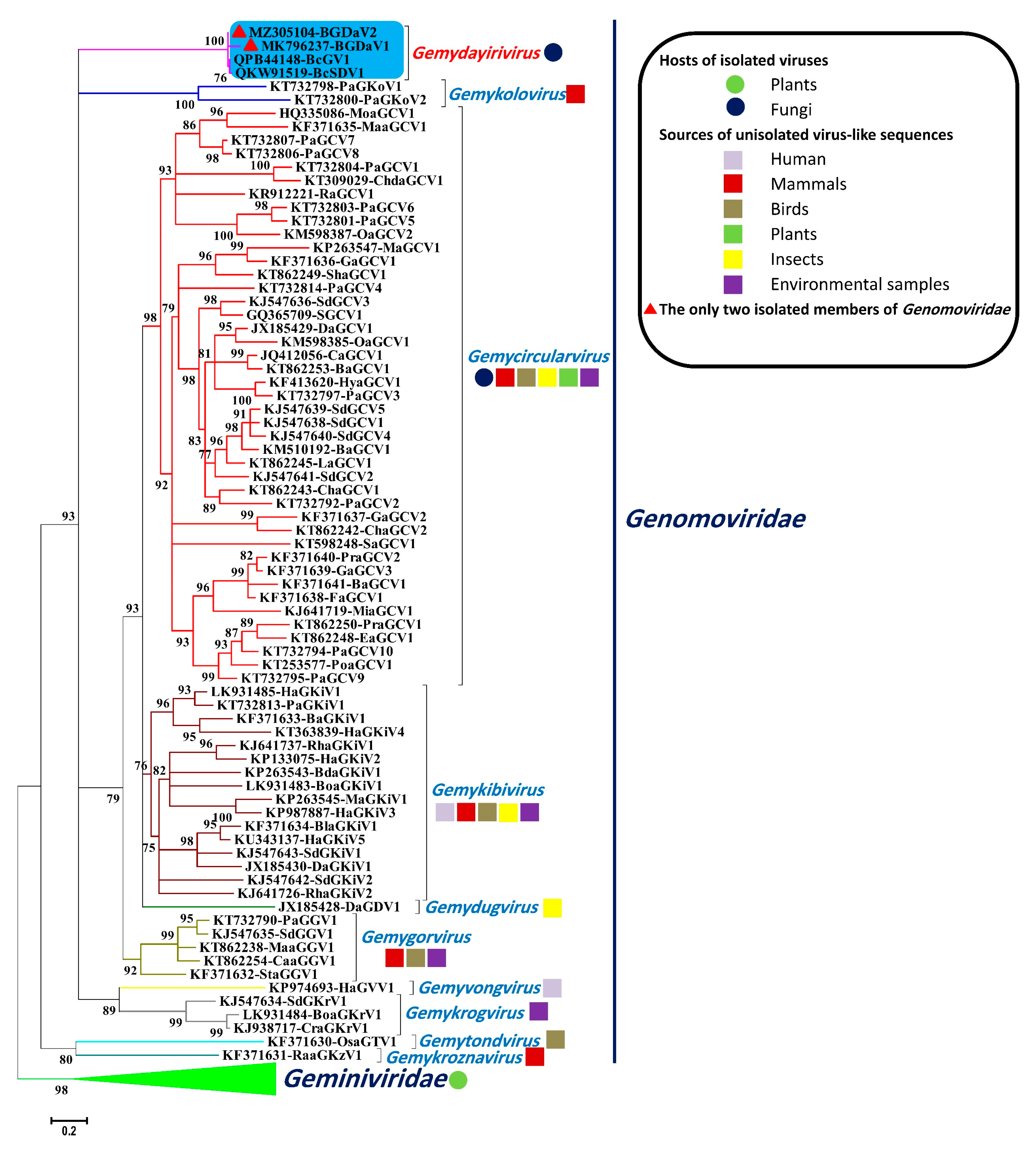 Viruses 13 01315 g002