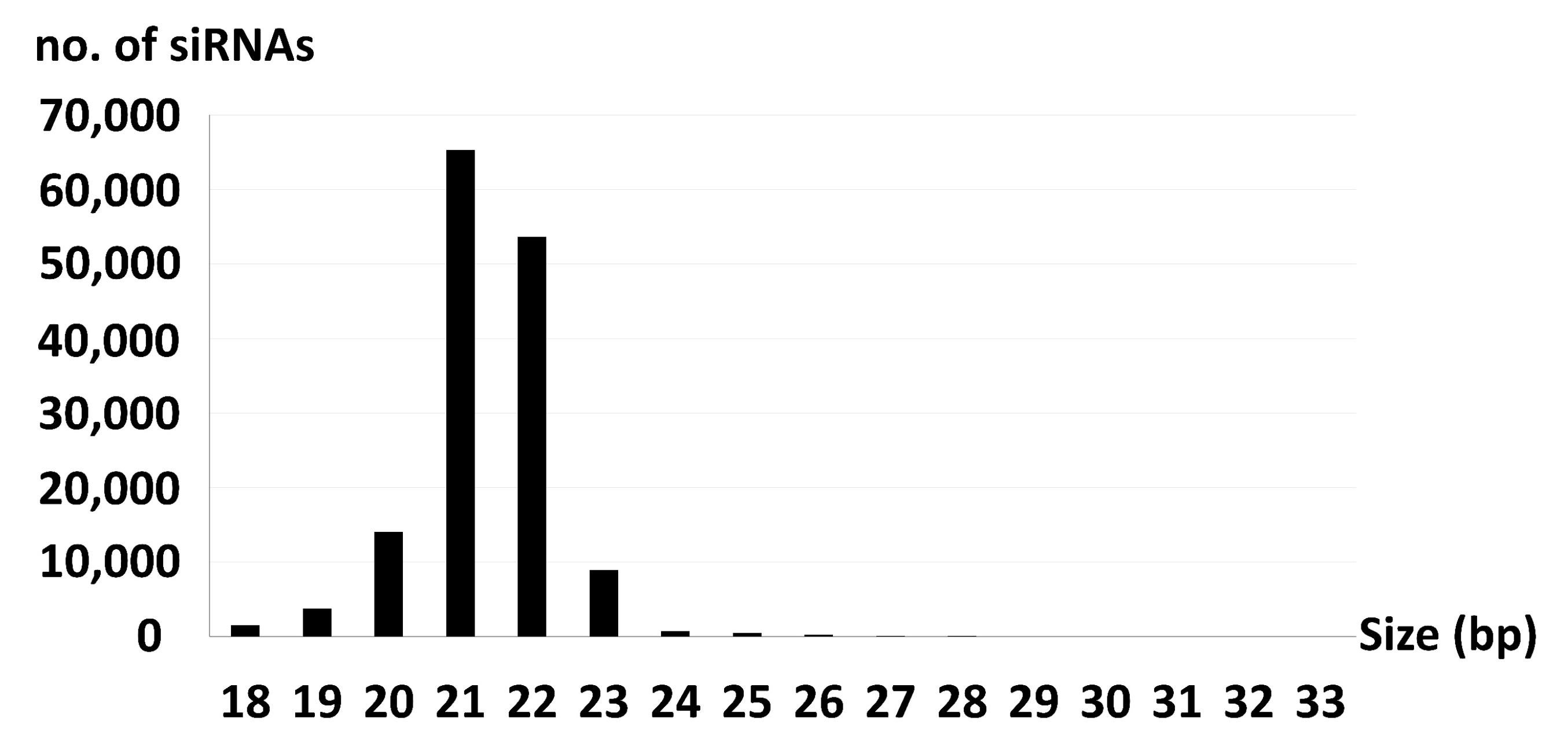 Viruses 13 01315 g006