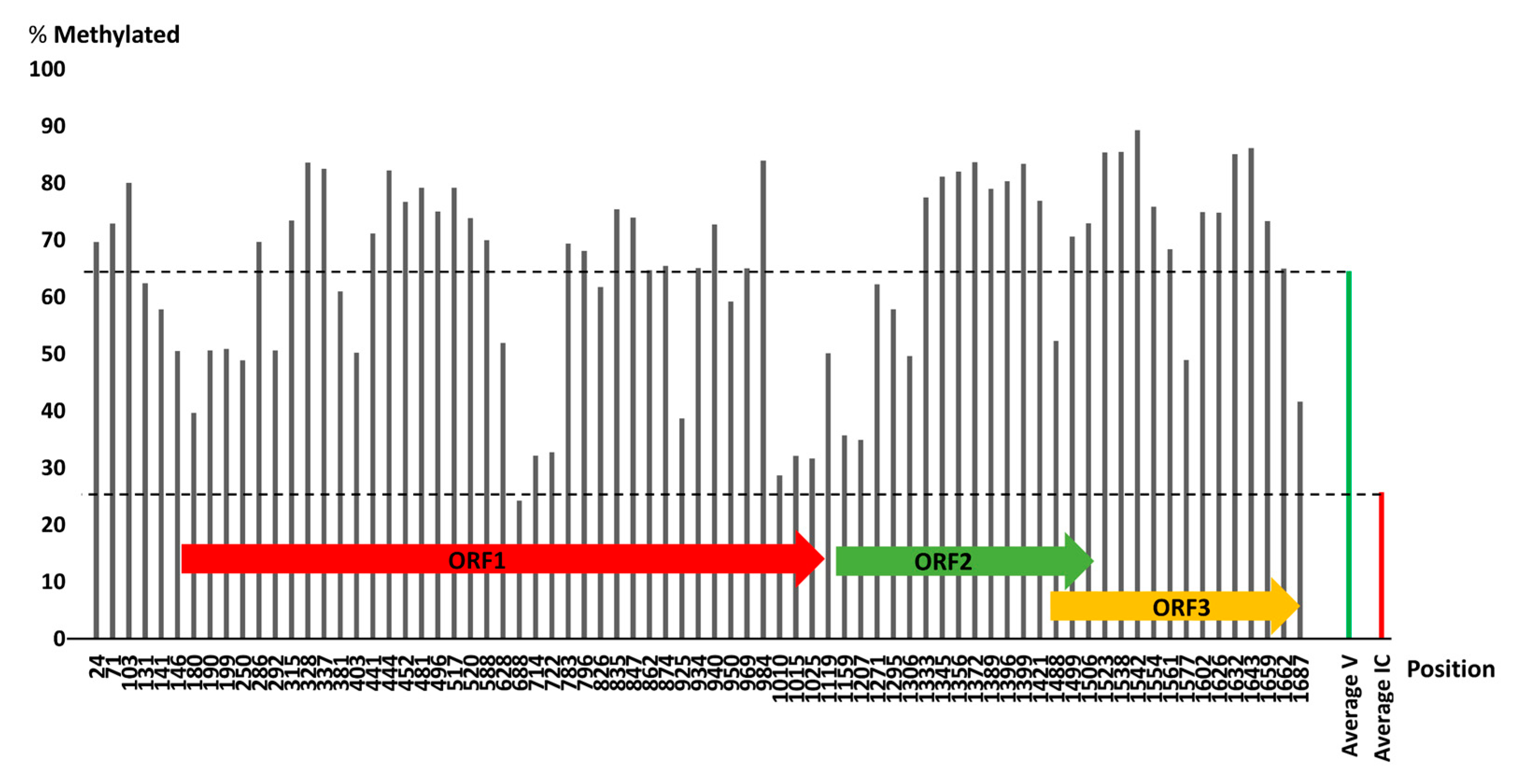 Viruses 13 01315 g008