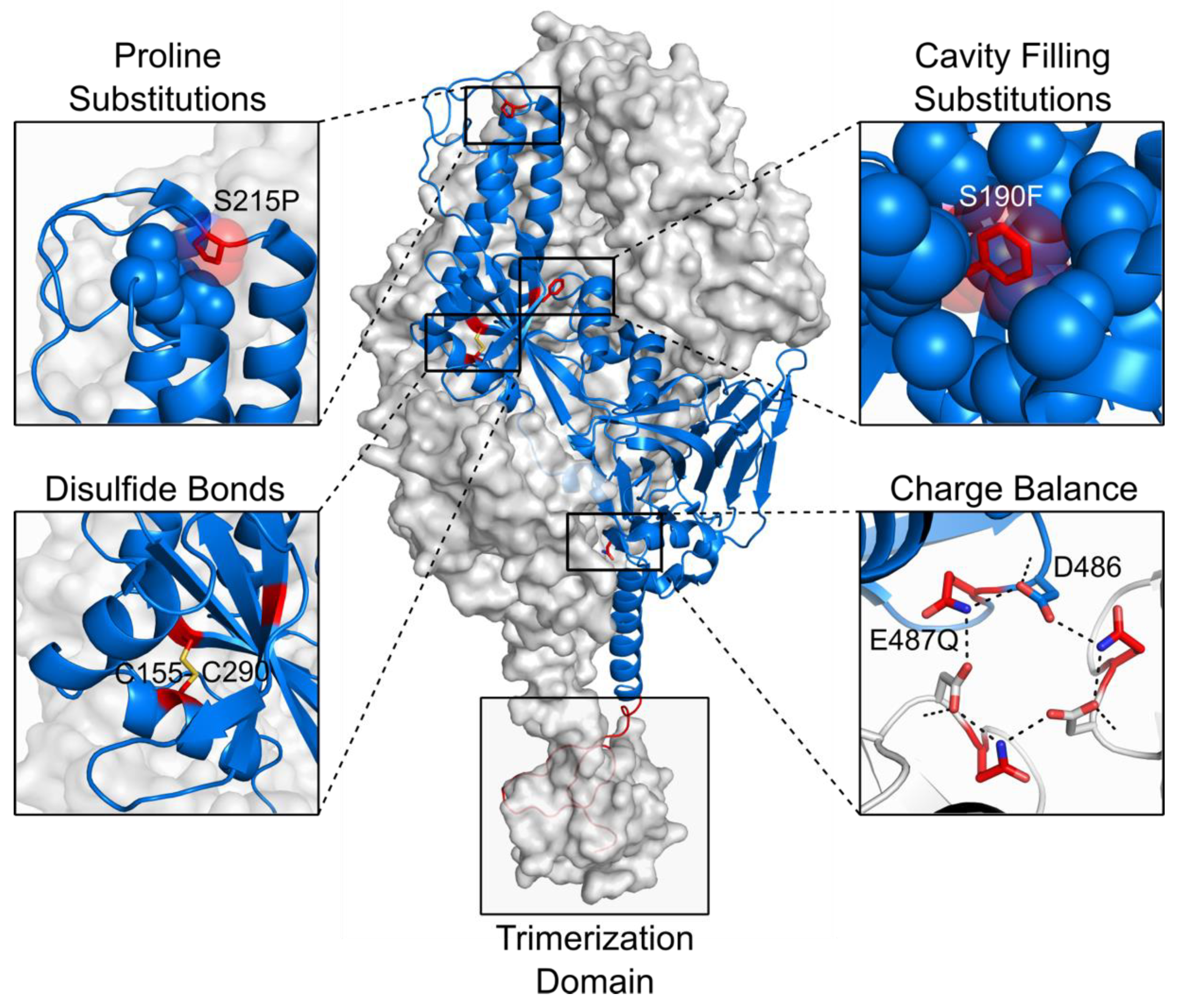 Viruses 13 01320 g003