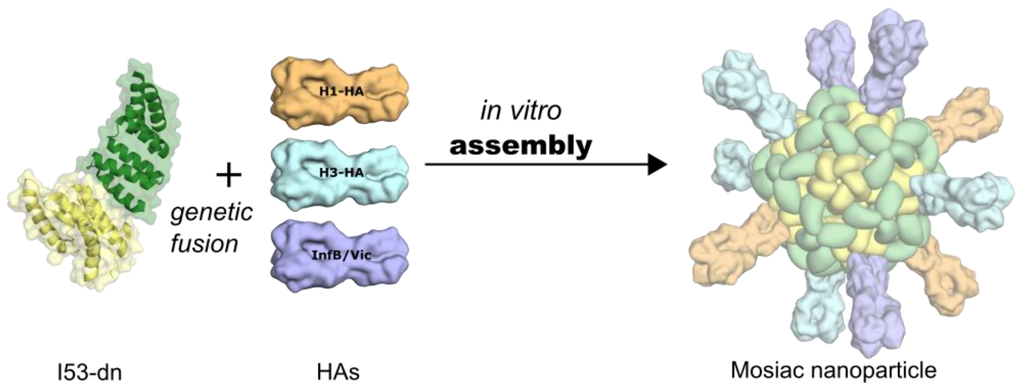 Viruses 13 01320 g005