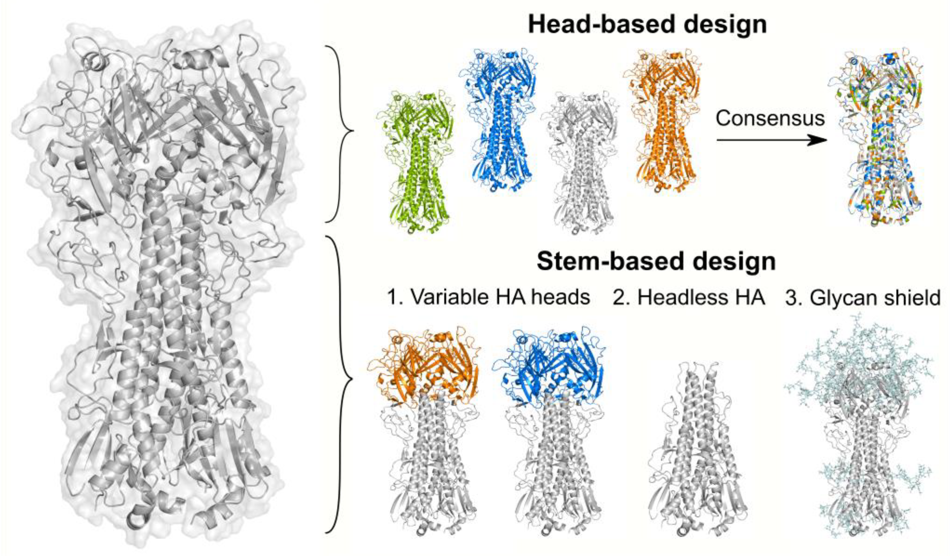 Viruses 13 01320 g006
