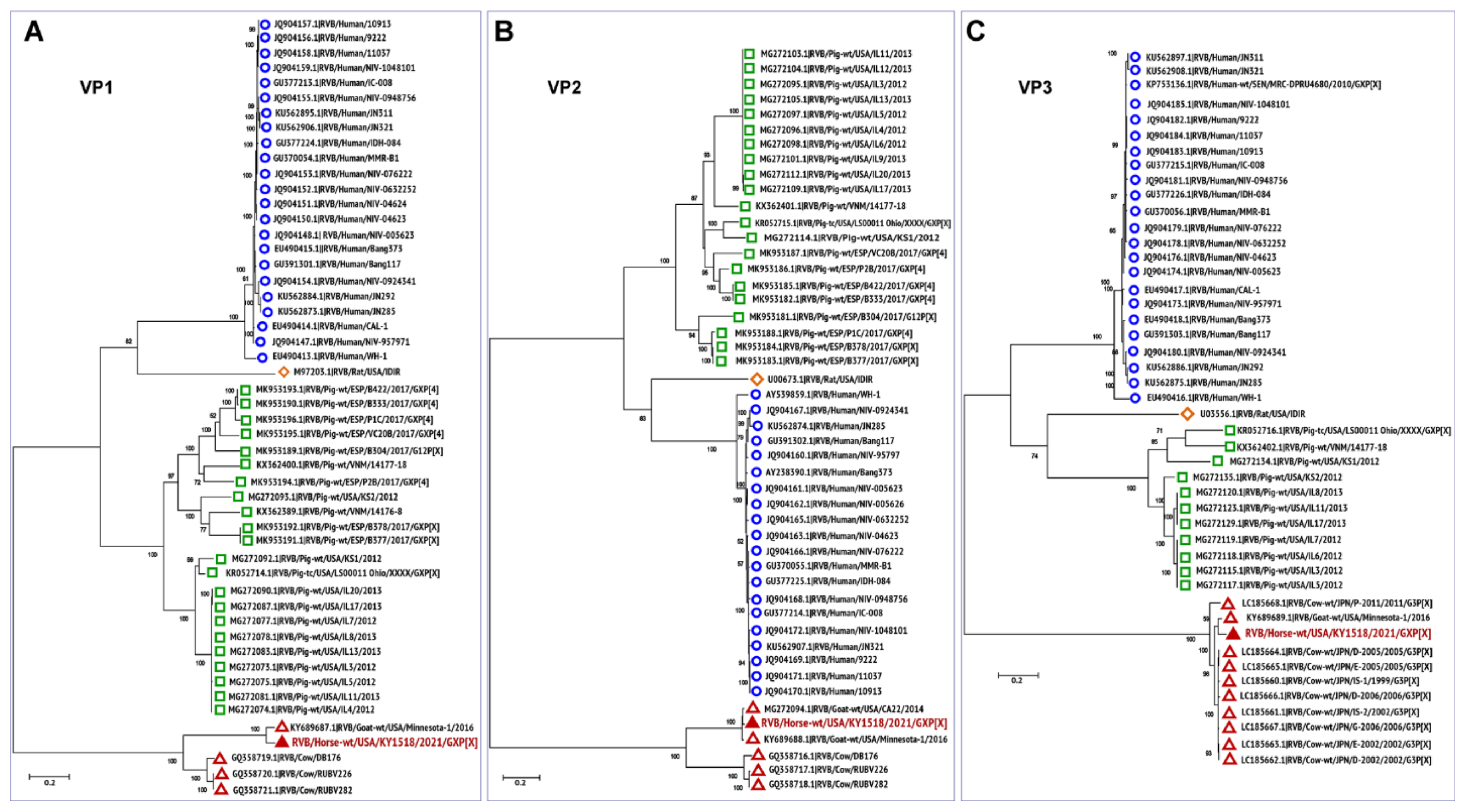 Viruses 13 01330 g002