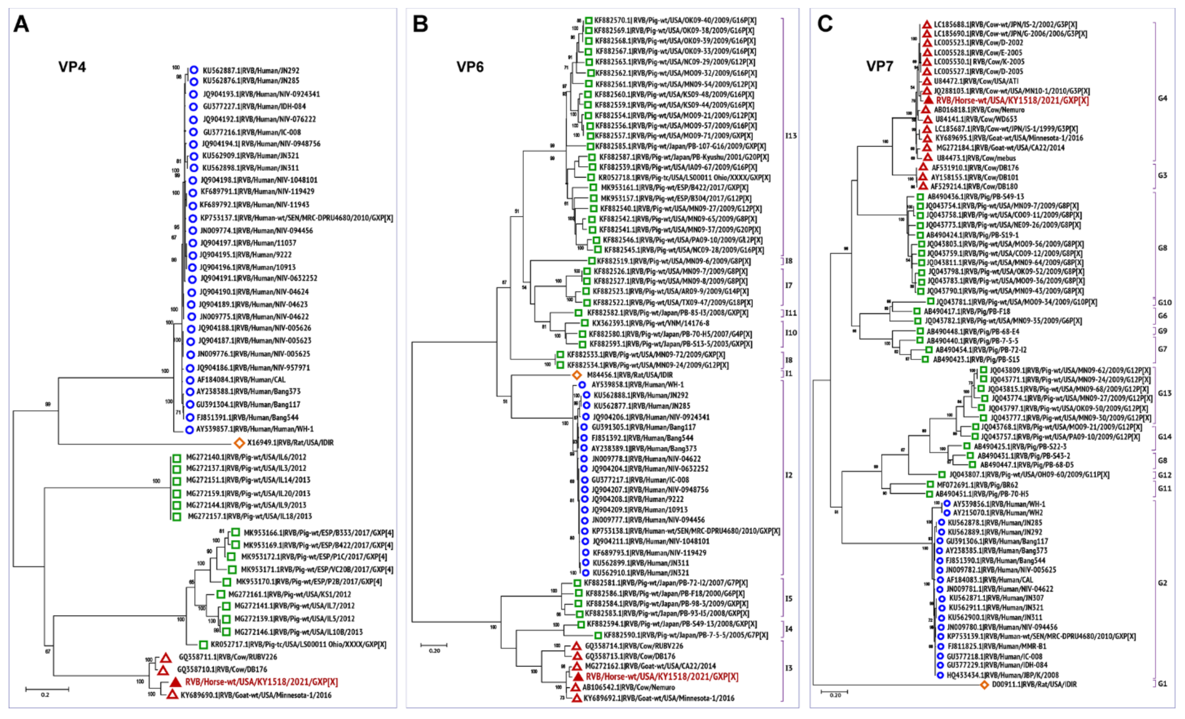 Viruses 13 01330 g003