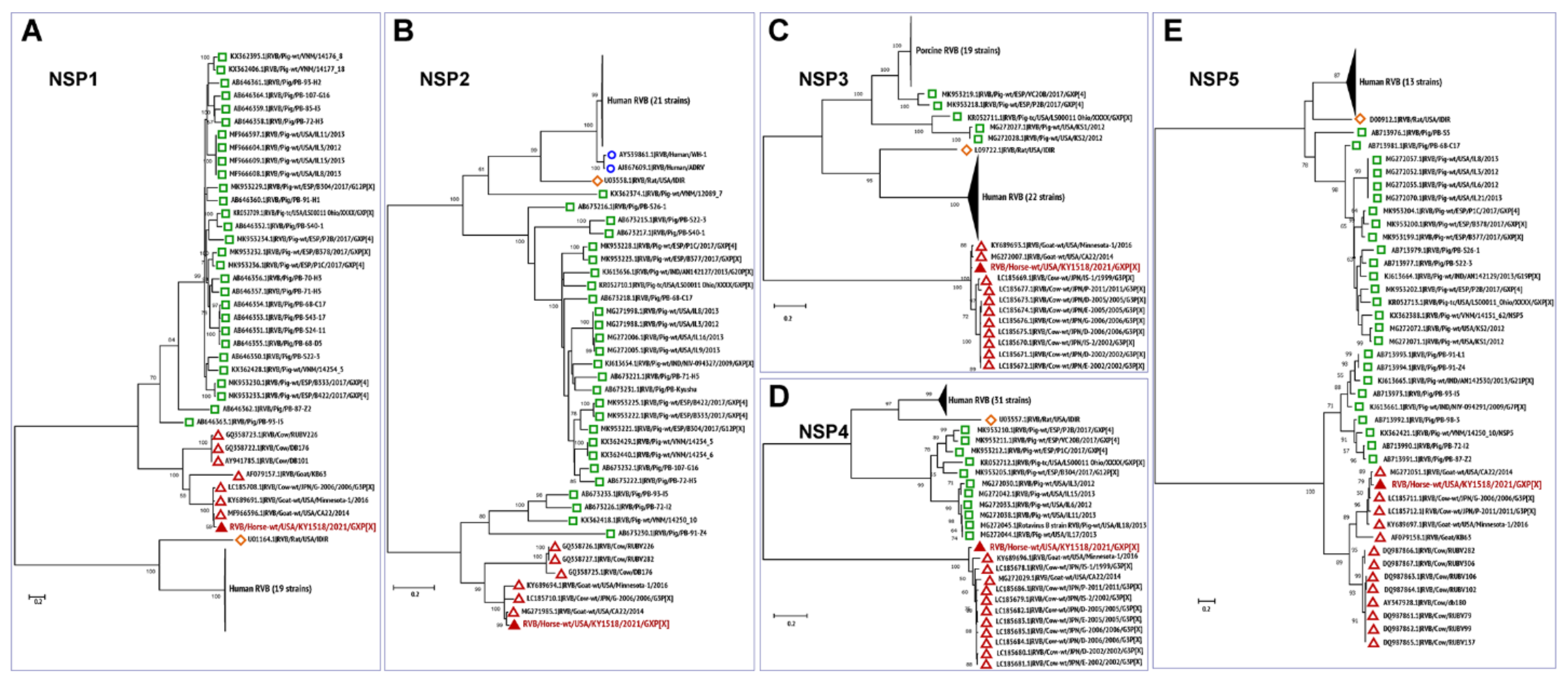 Viruses 13 01330 g004