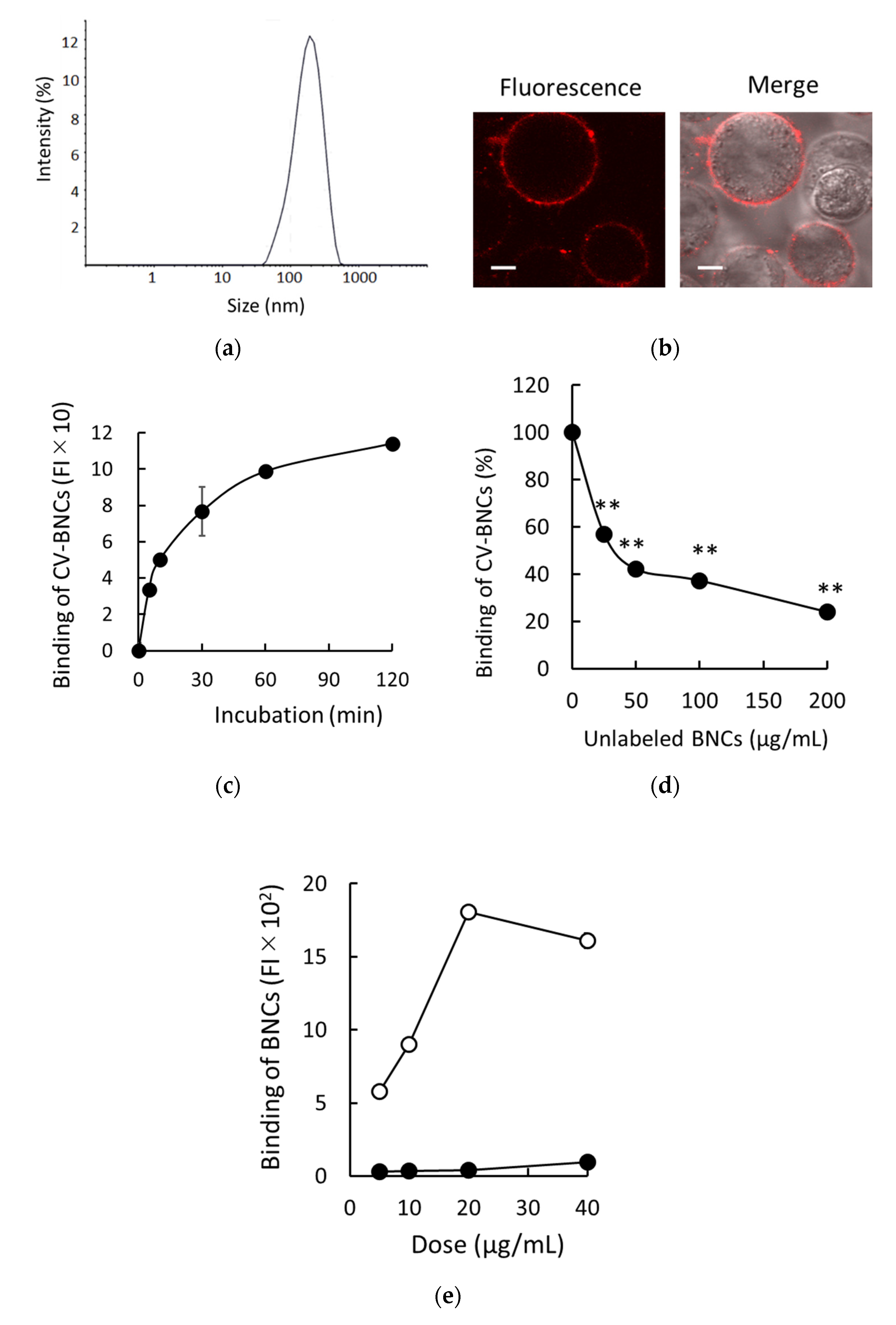 Viruses 13 01334 g001