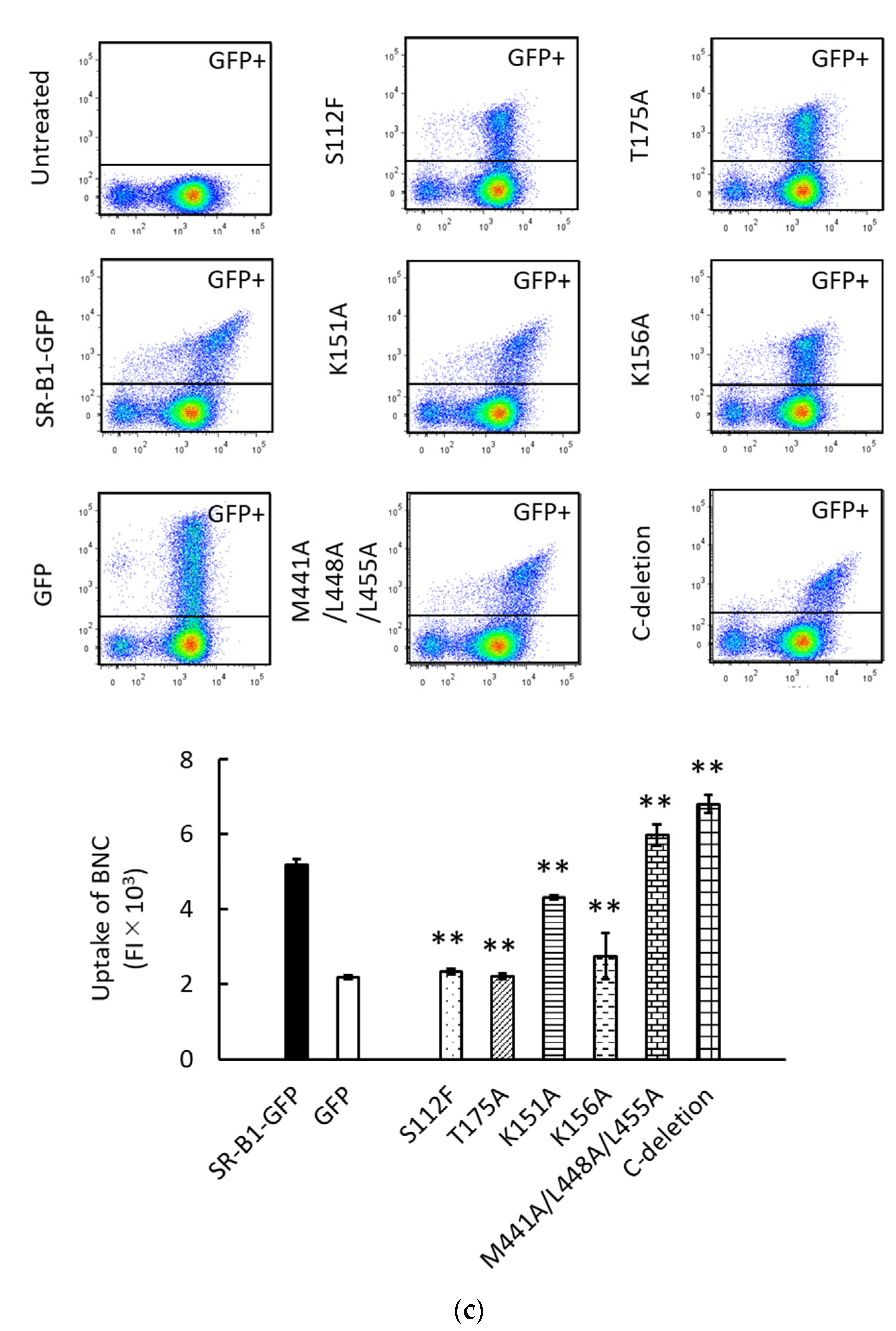 Viruses 13 01334 g003b