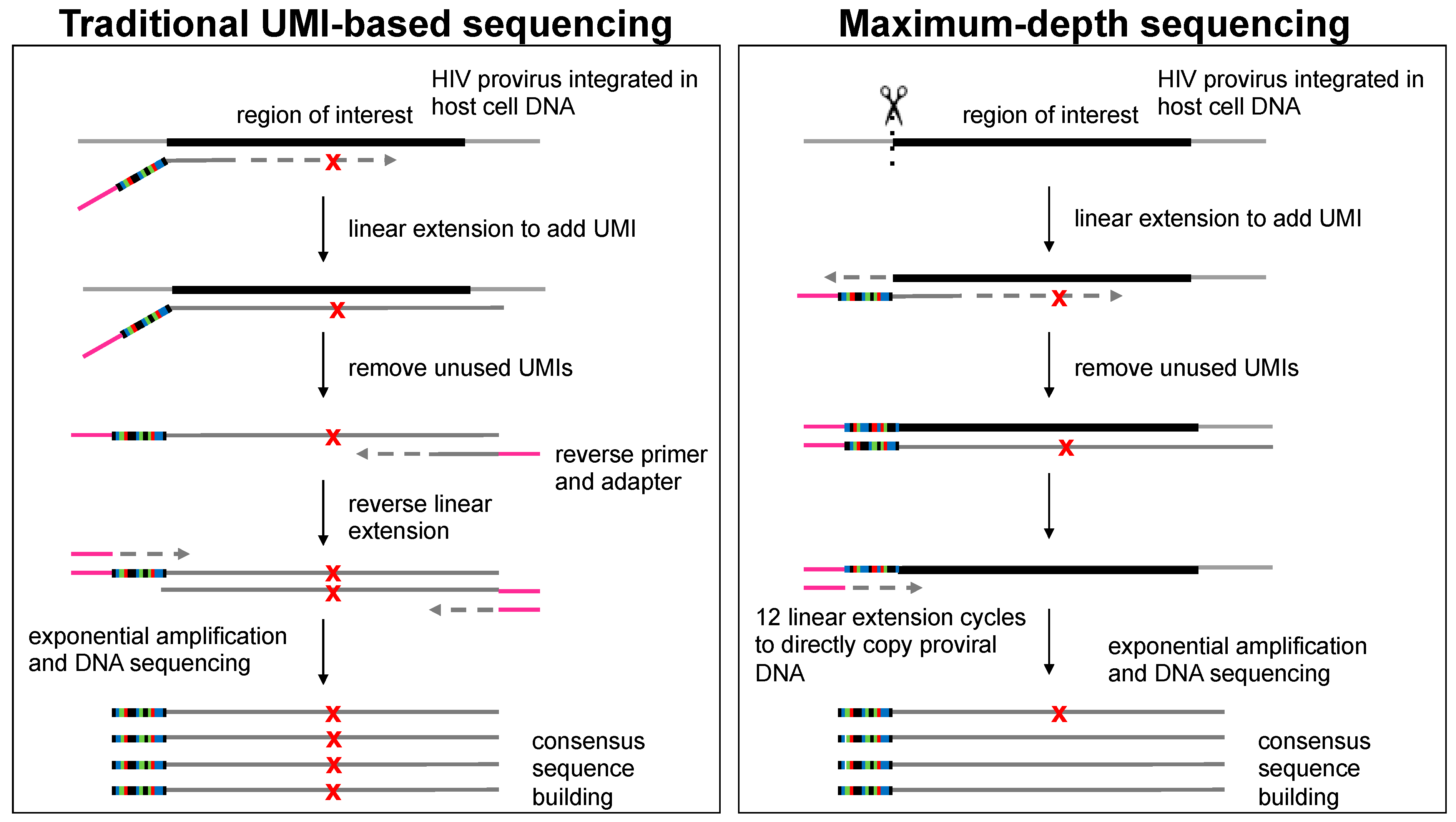 Viruses 13 01338 g001