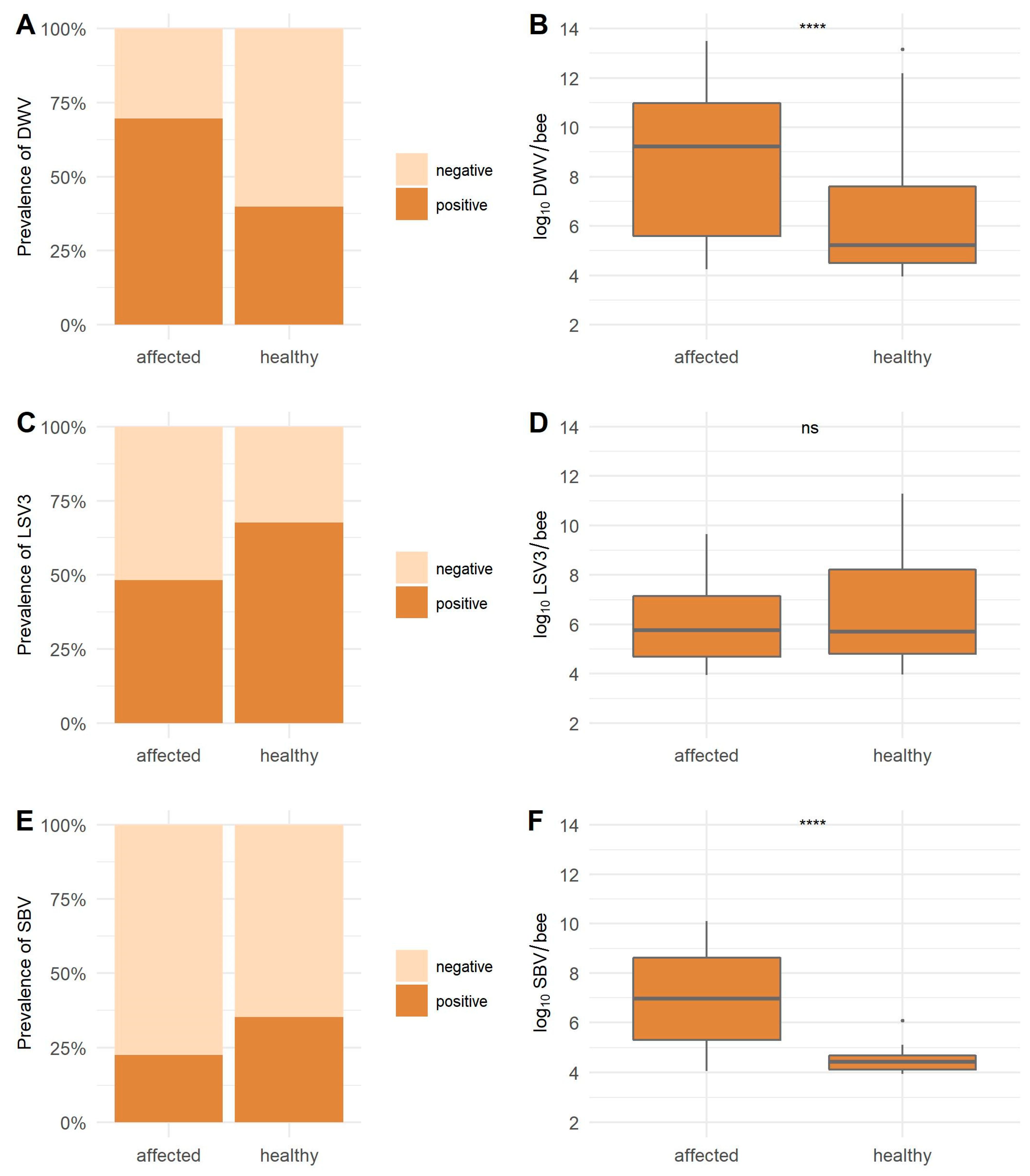 Viruses 13 01340 g003