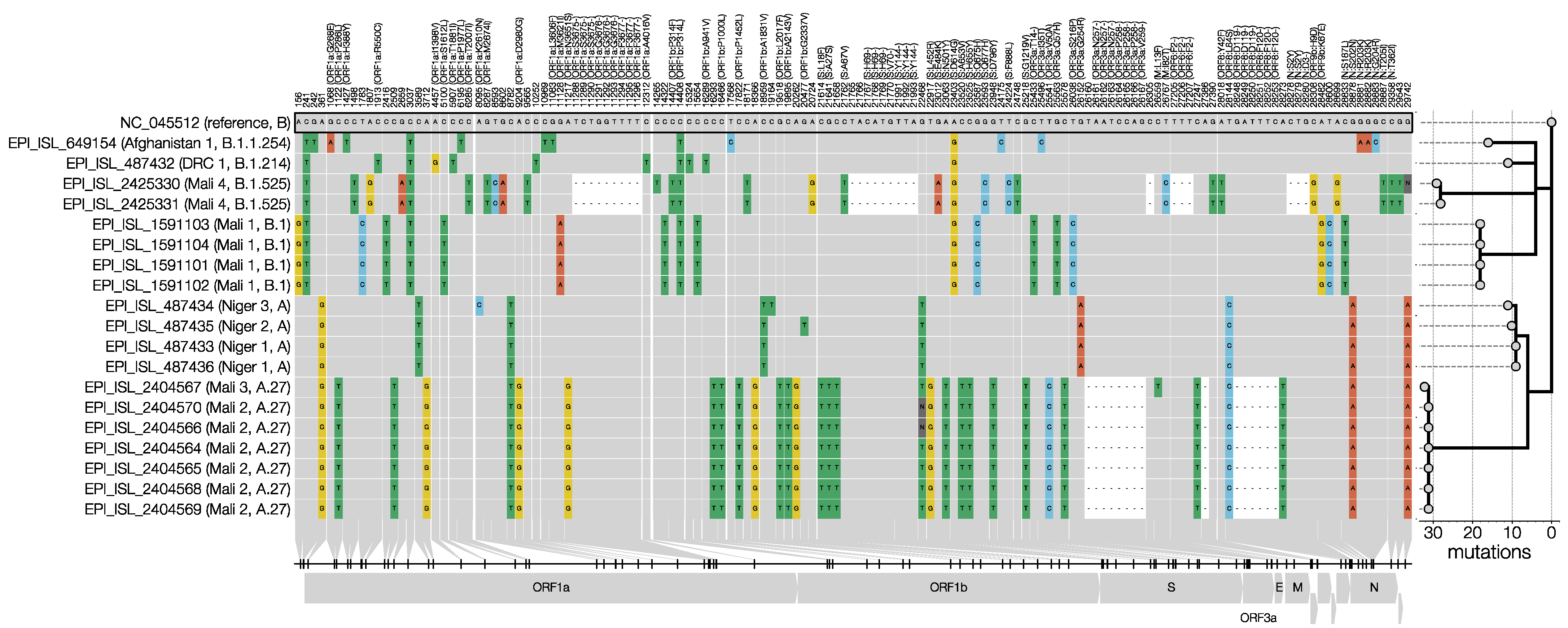 Viruses 13 01359 g002