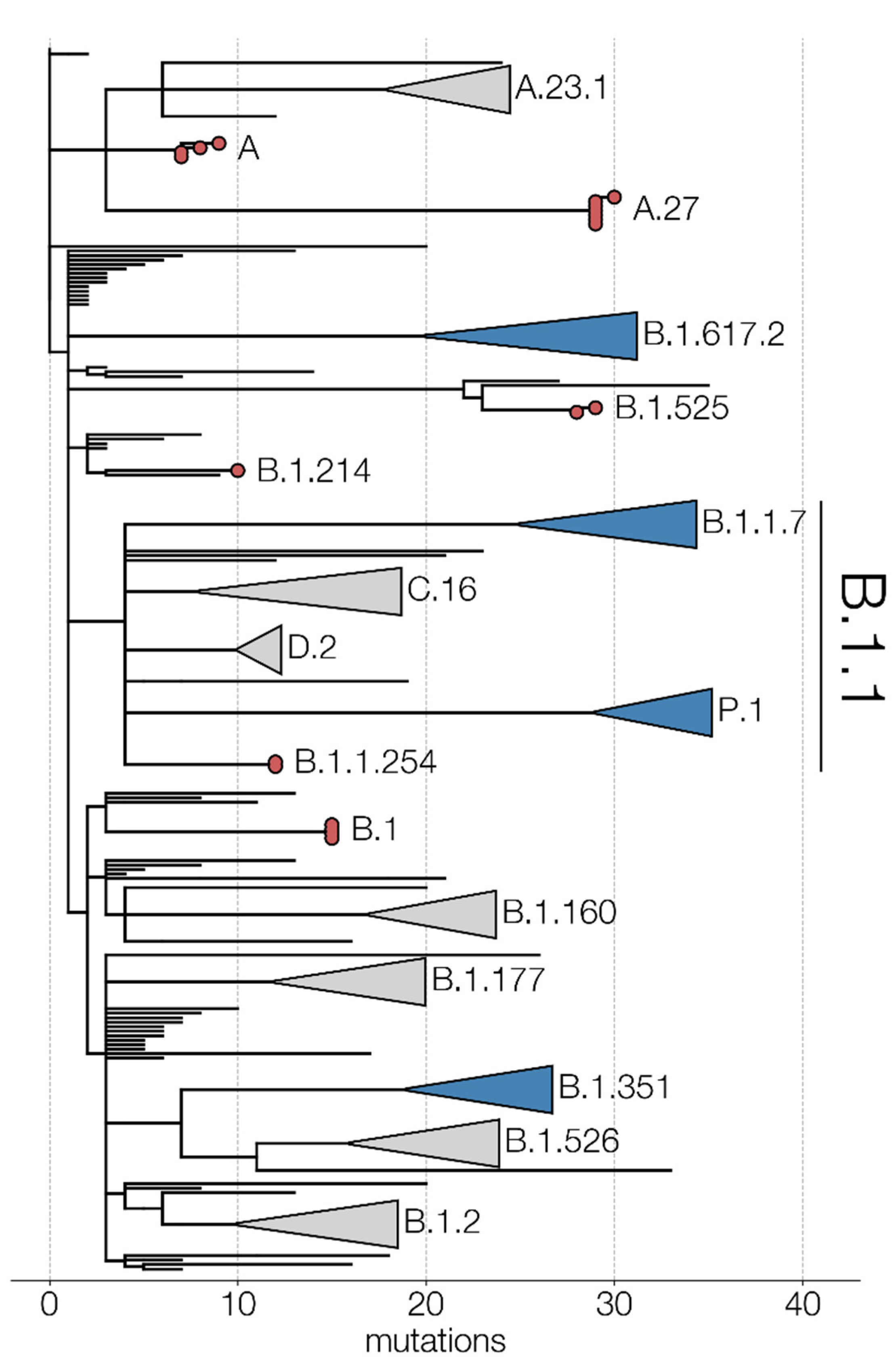 Viruses 13 01359 g004