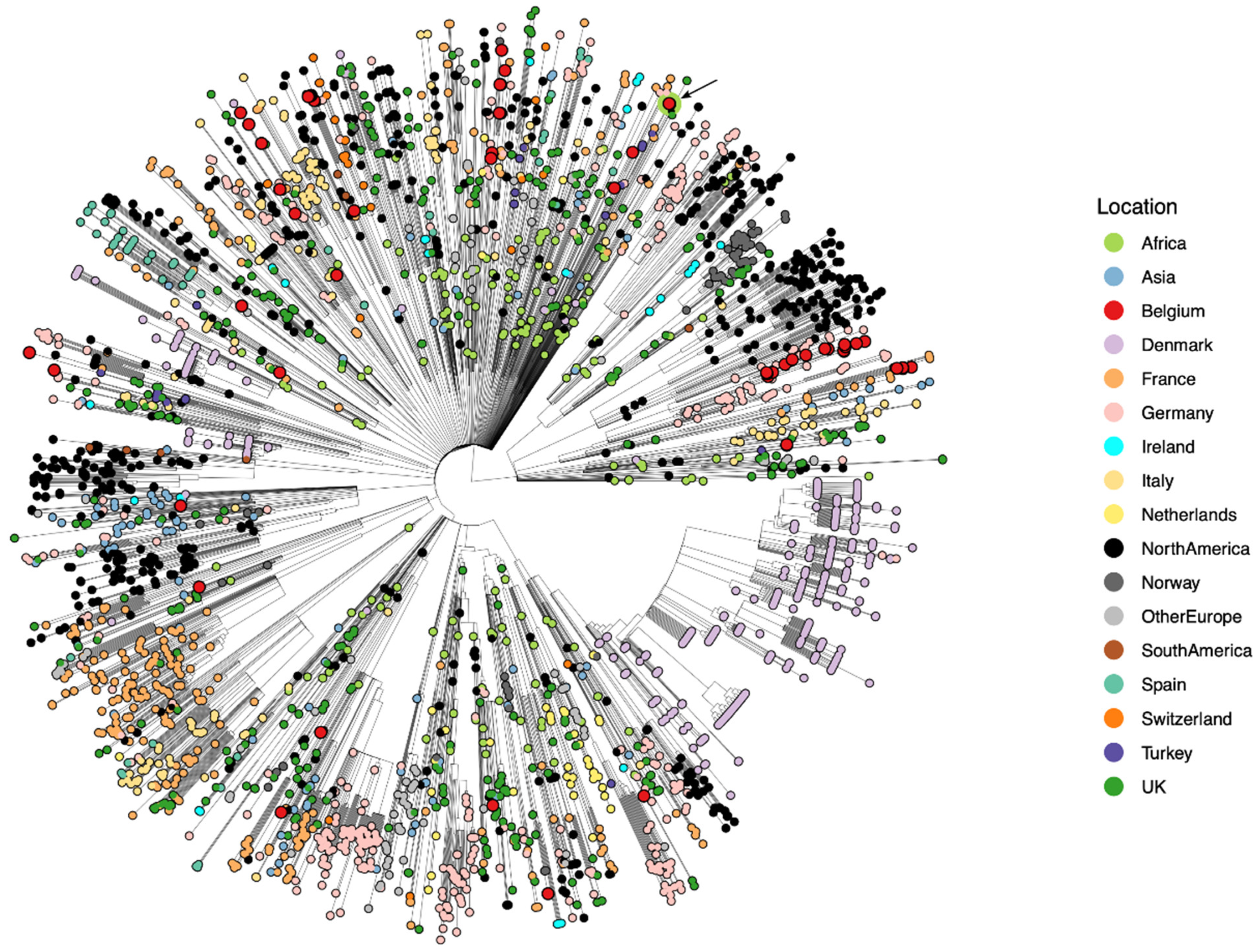 Viruses 13 01359 g006