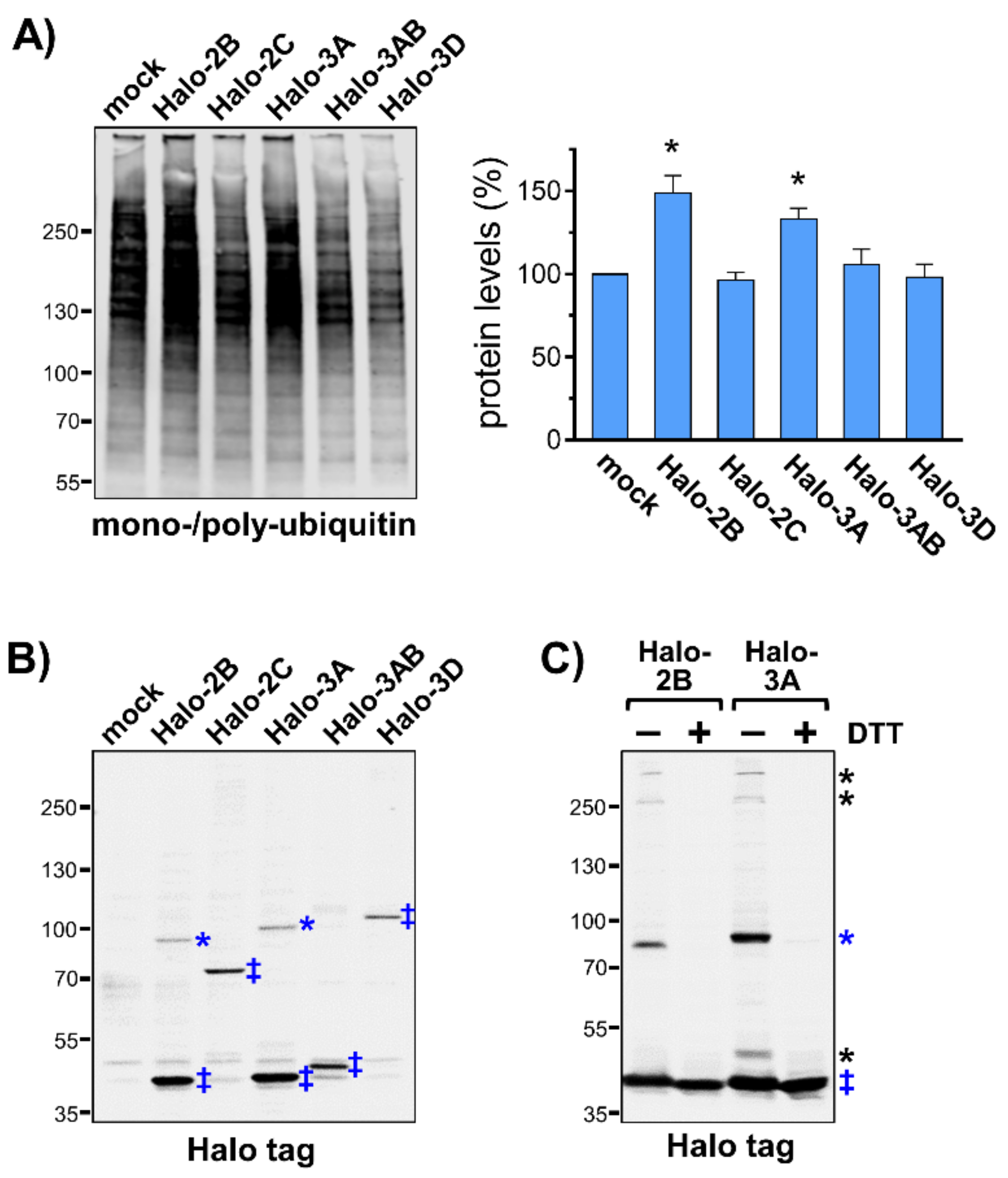 Viruses 13 01360 g002