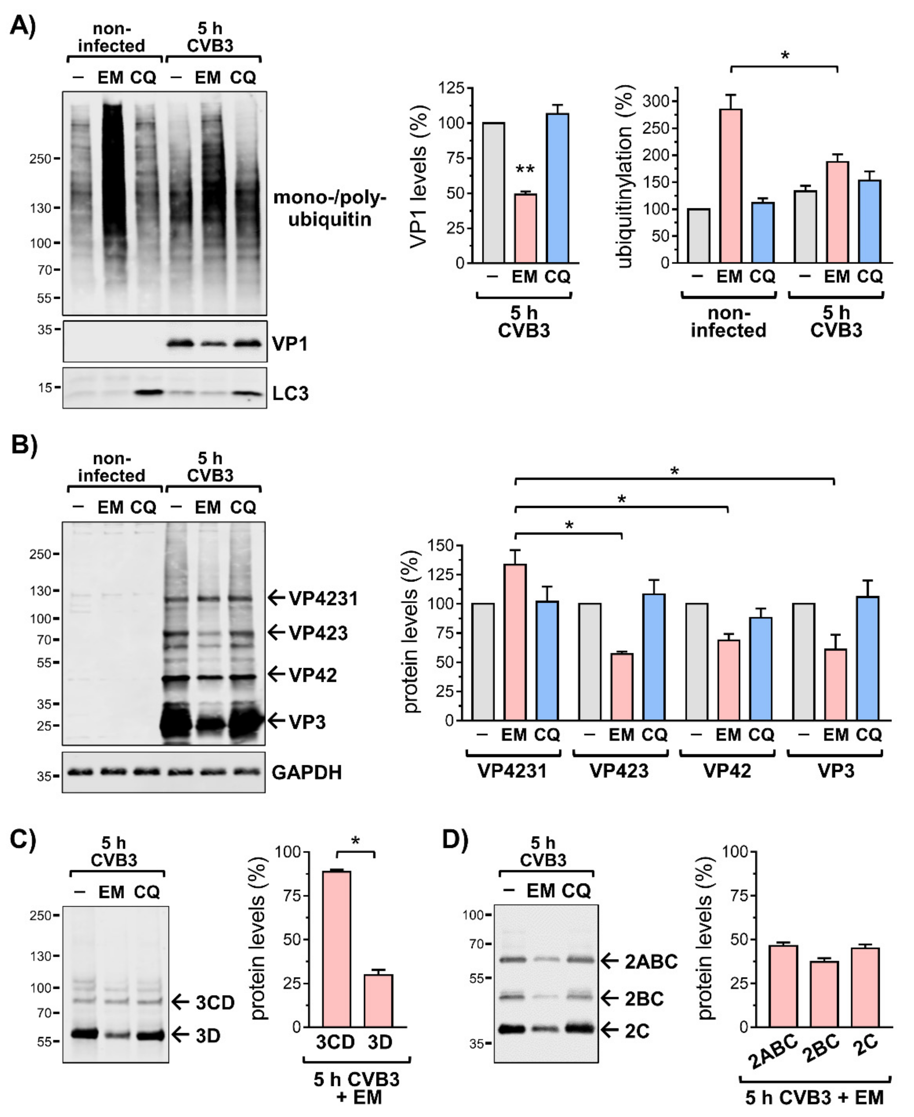 Viruses 13 01360 g004