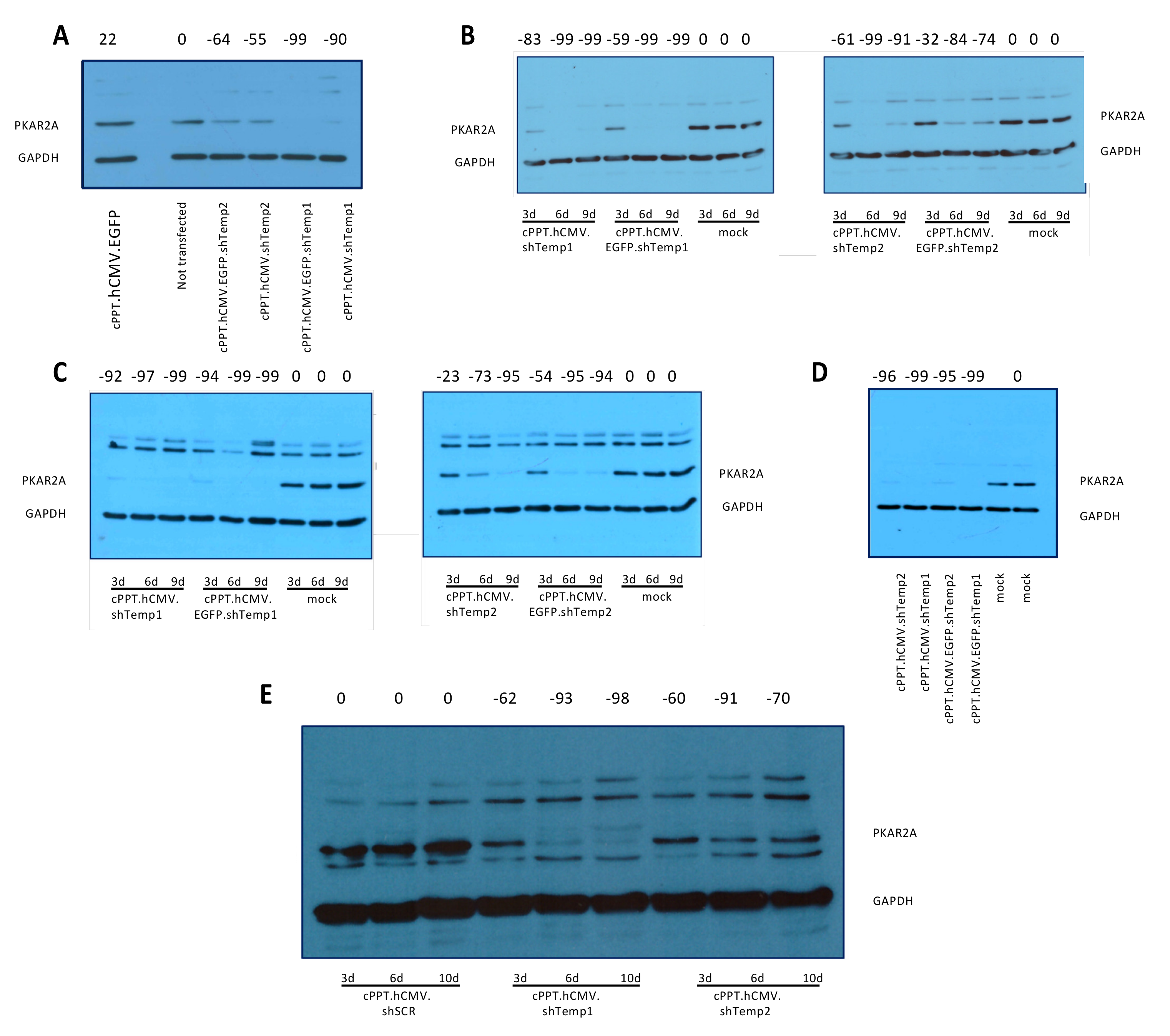 Viruses 13 01361 g002 Viruses 13 01361 g002