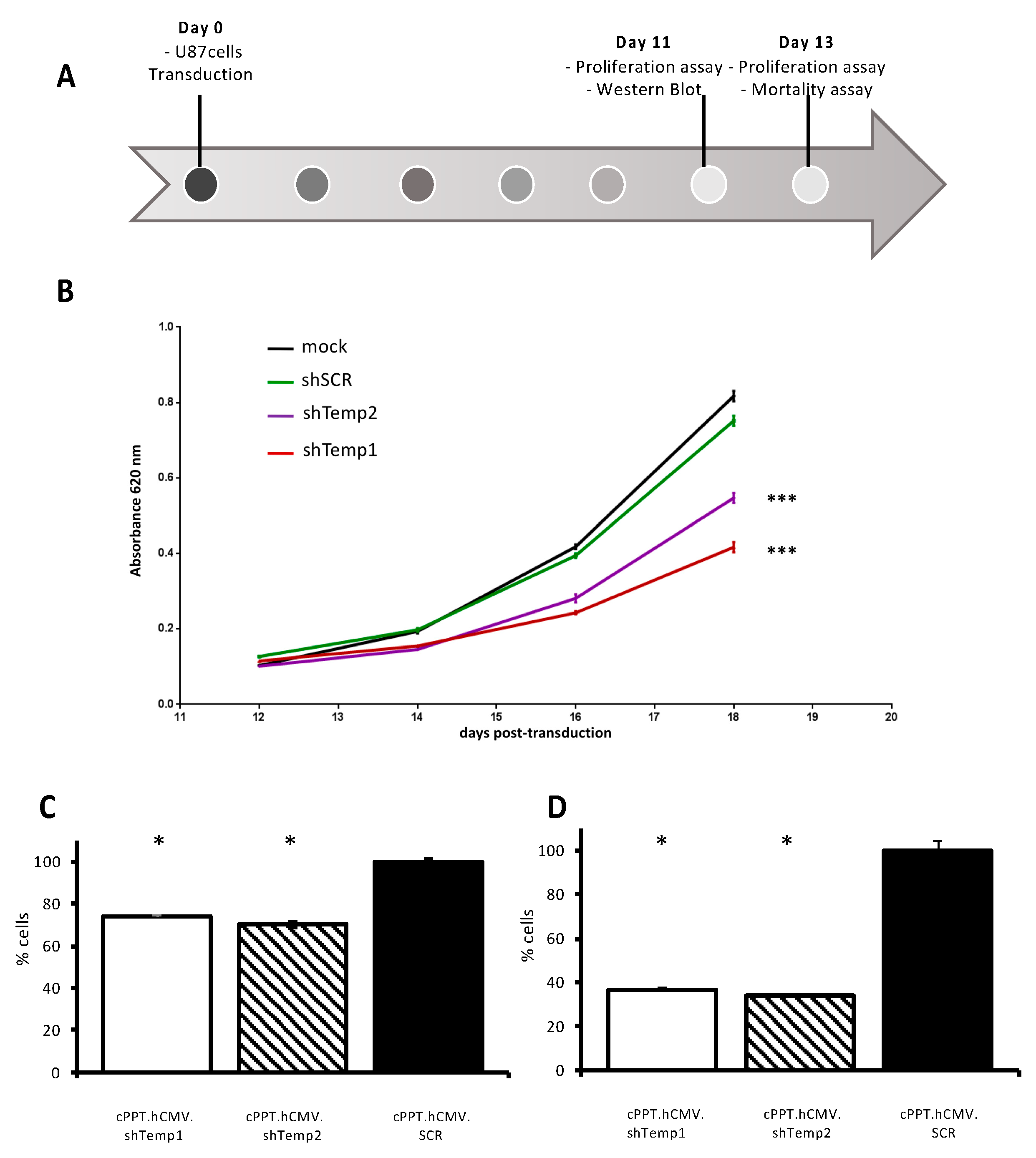 Viruses 13 01361 g004 Viruses 13 01361 g004