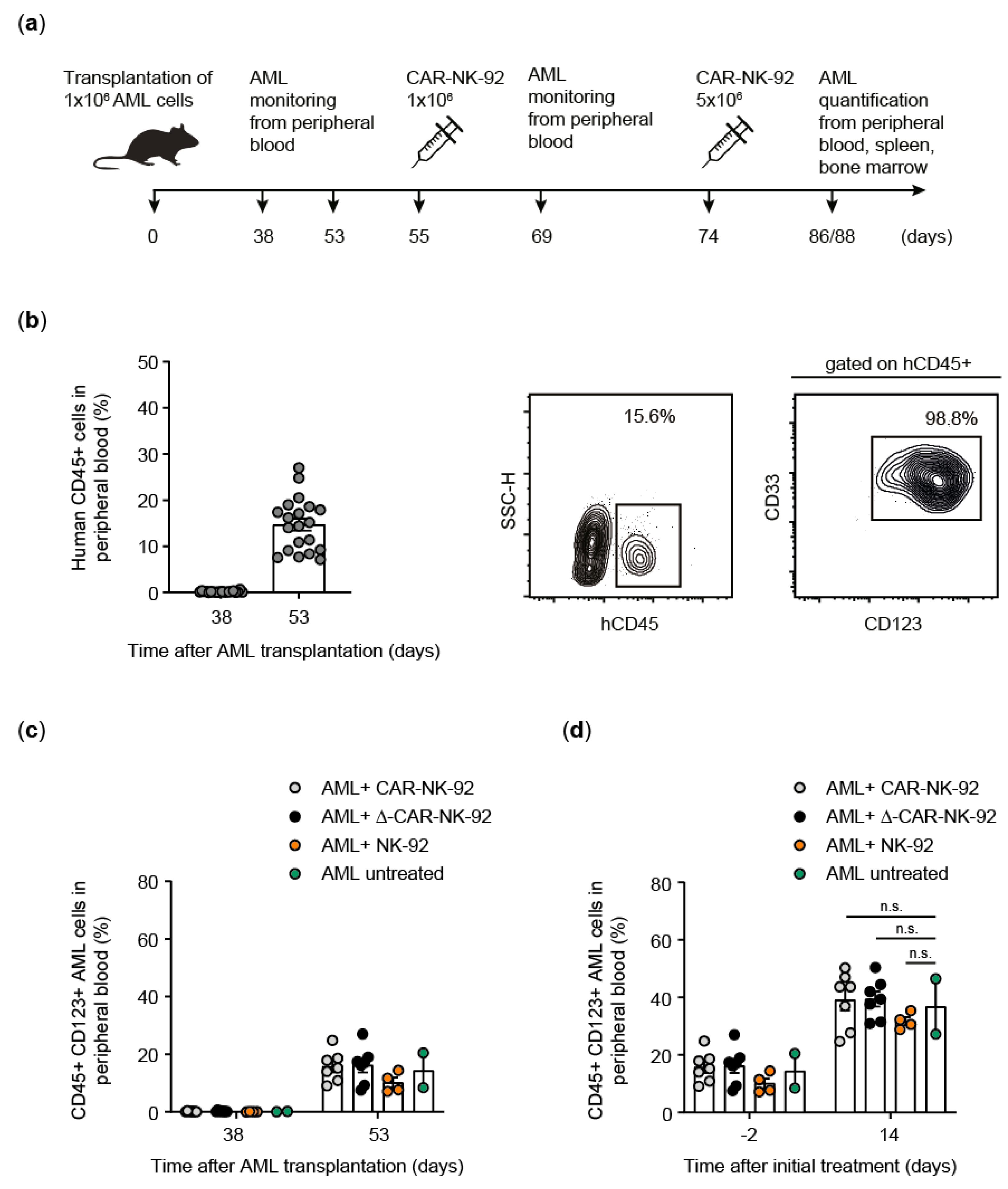 Viruses 13 01365 g003