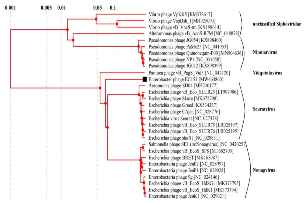 Viruses 13 01372 g002