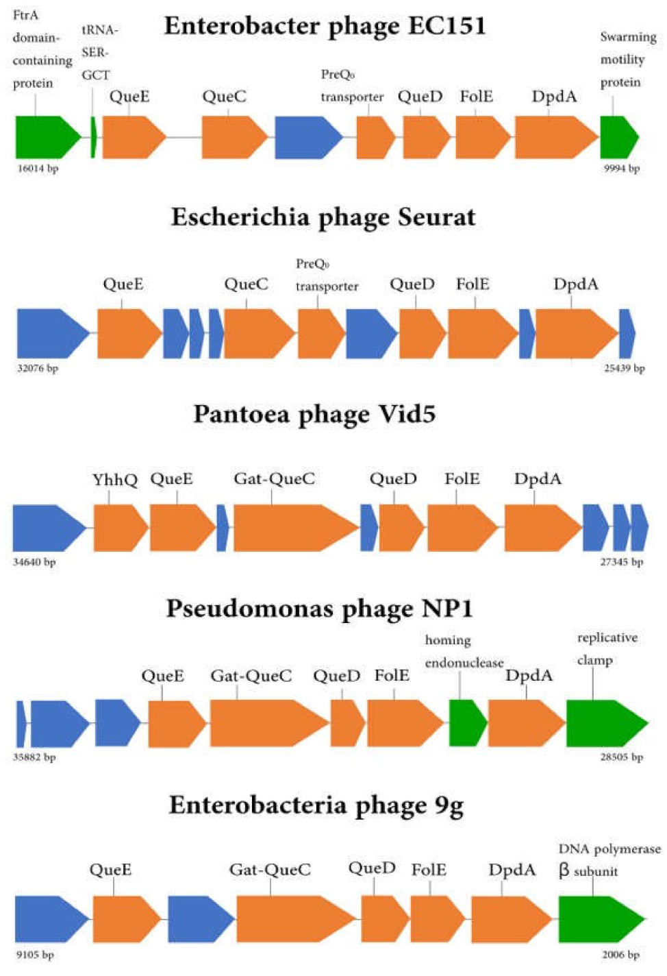 Viruses 13 01372 g004