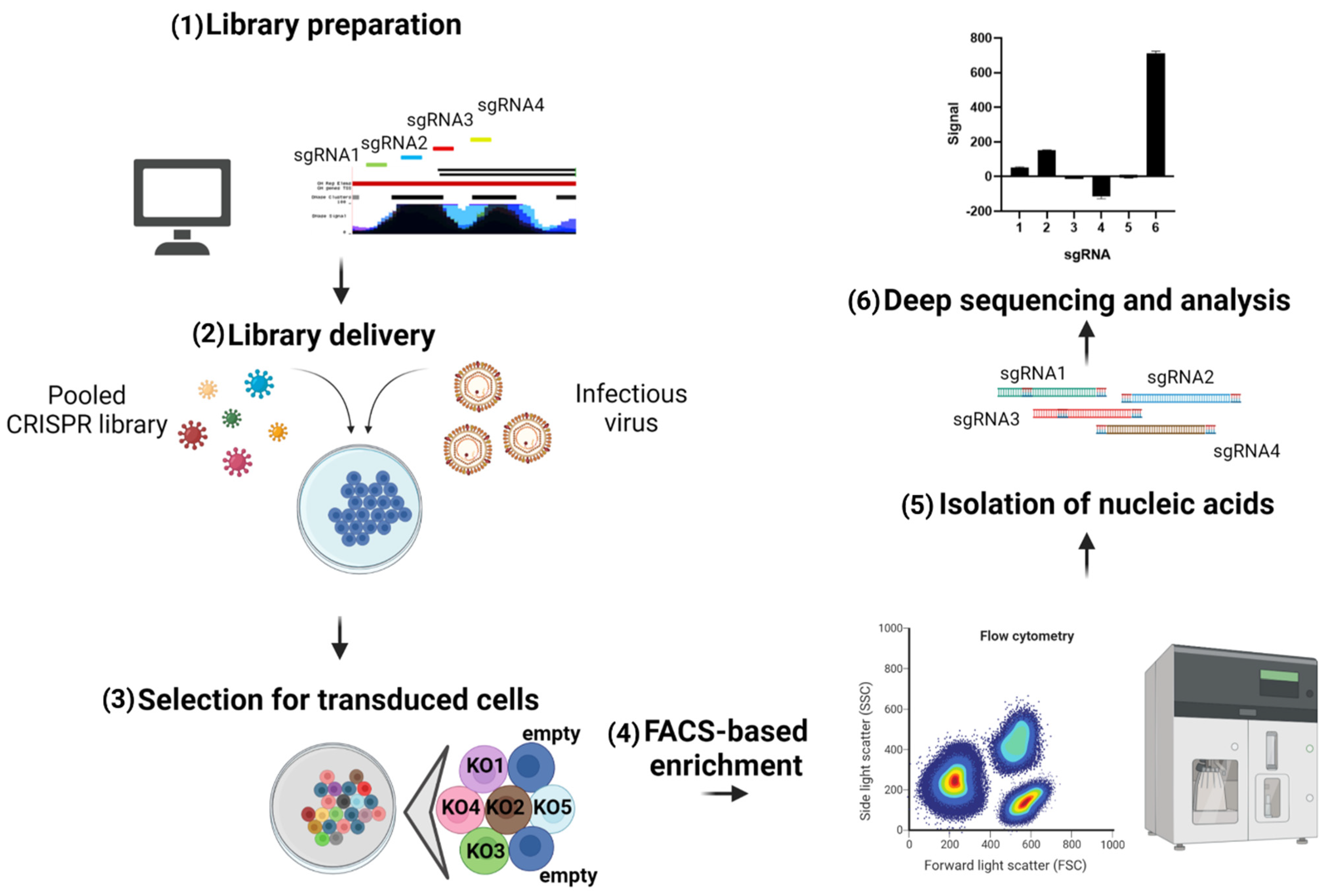 Viruses 13 01373 g004