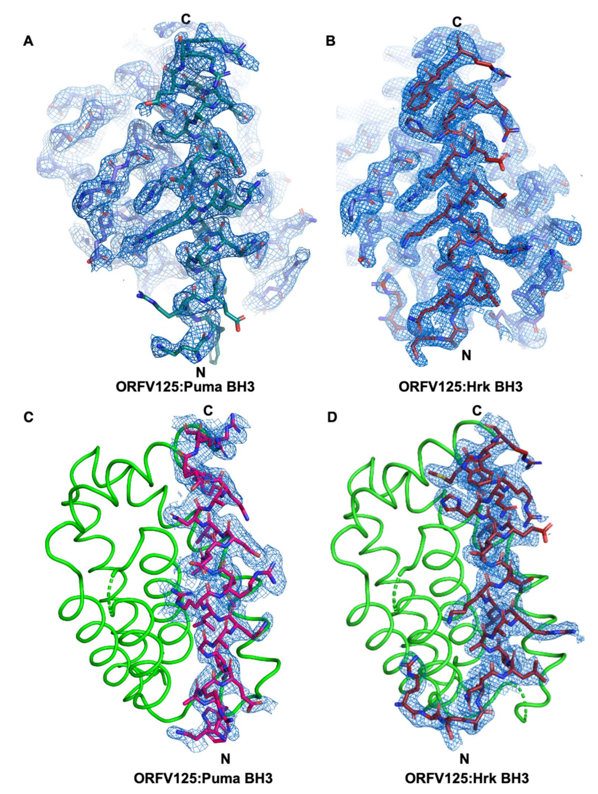 Viruses 13 01374 g001