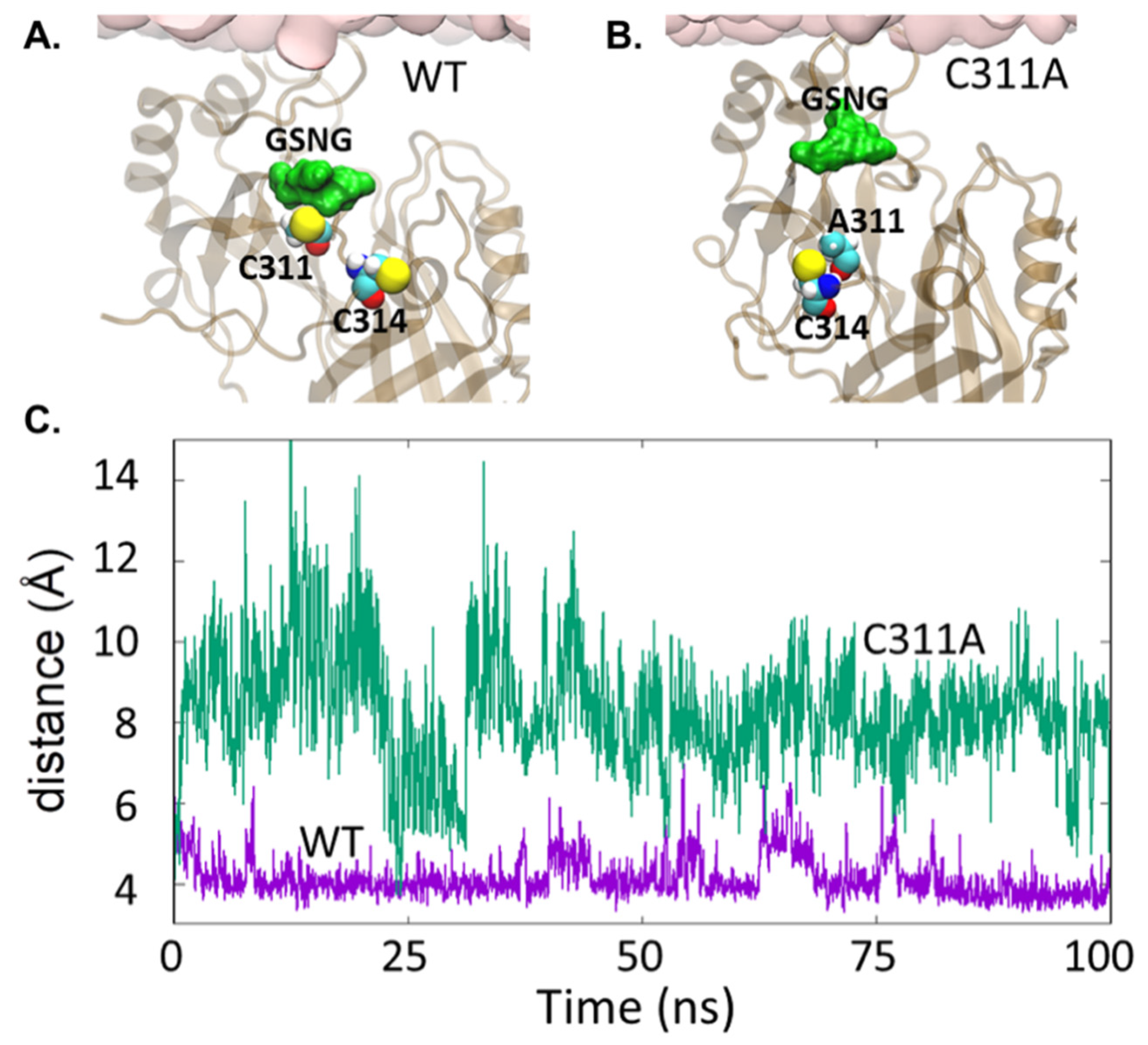 Viruses 13 01375 g008