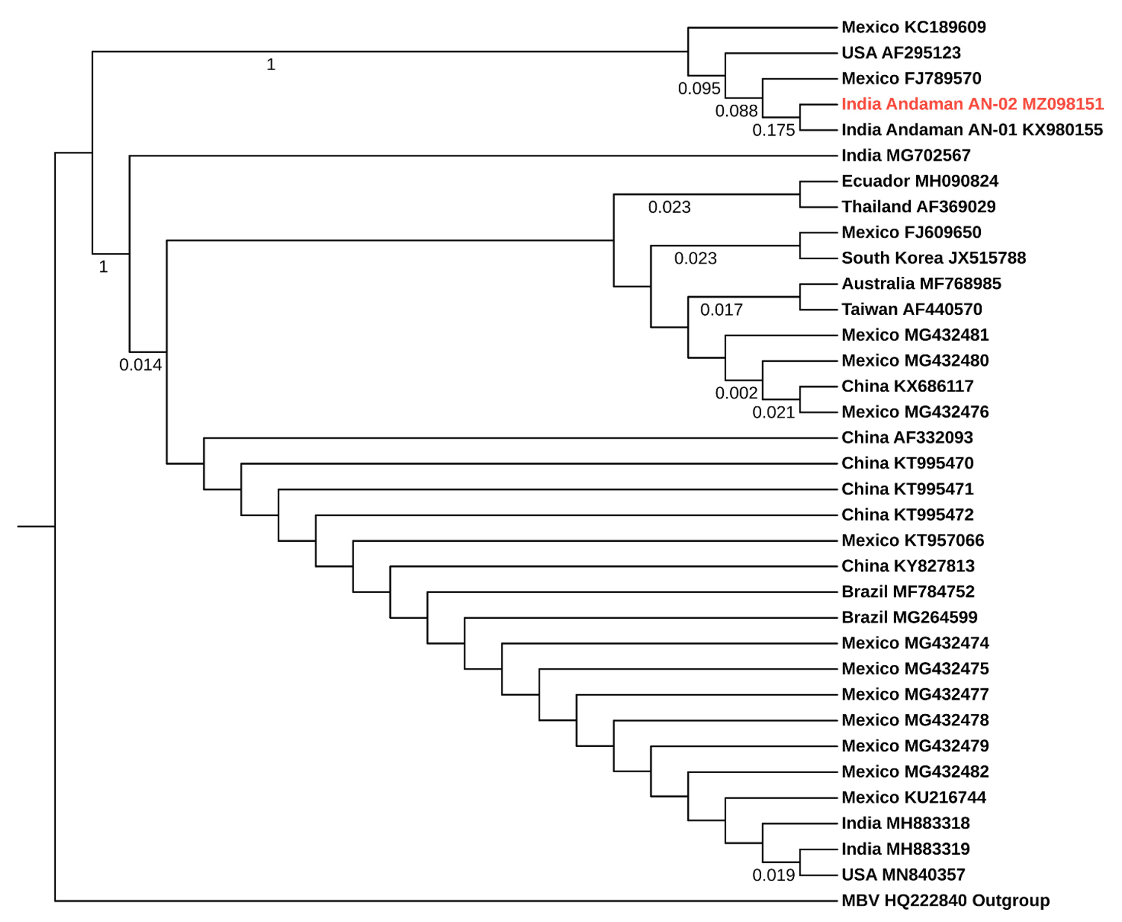 Viruses 13 01378 g003
