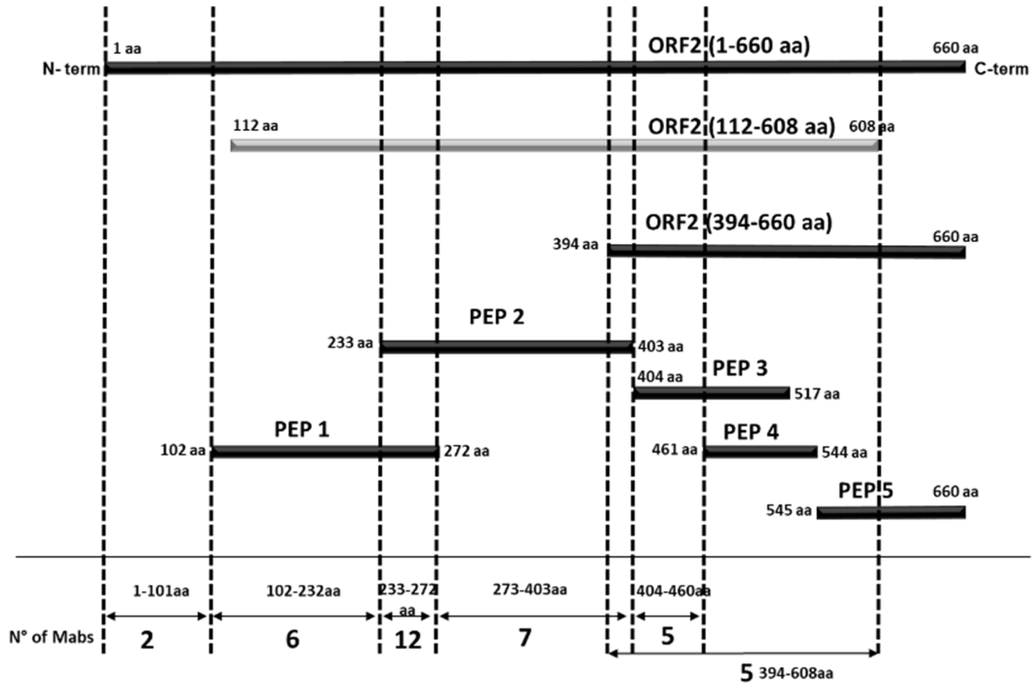 Viruses 13 01385 g004